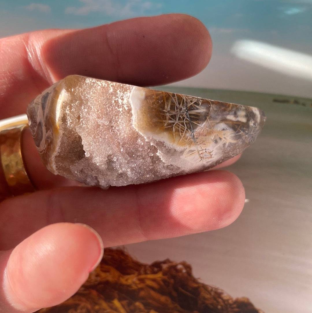 Spiralite Fossilized Gemshell 37 g India - Moon Room Shop and Wellness