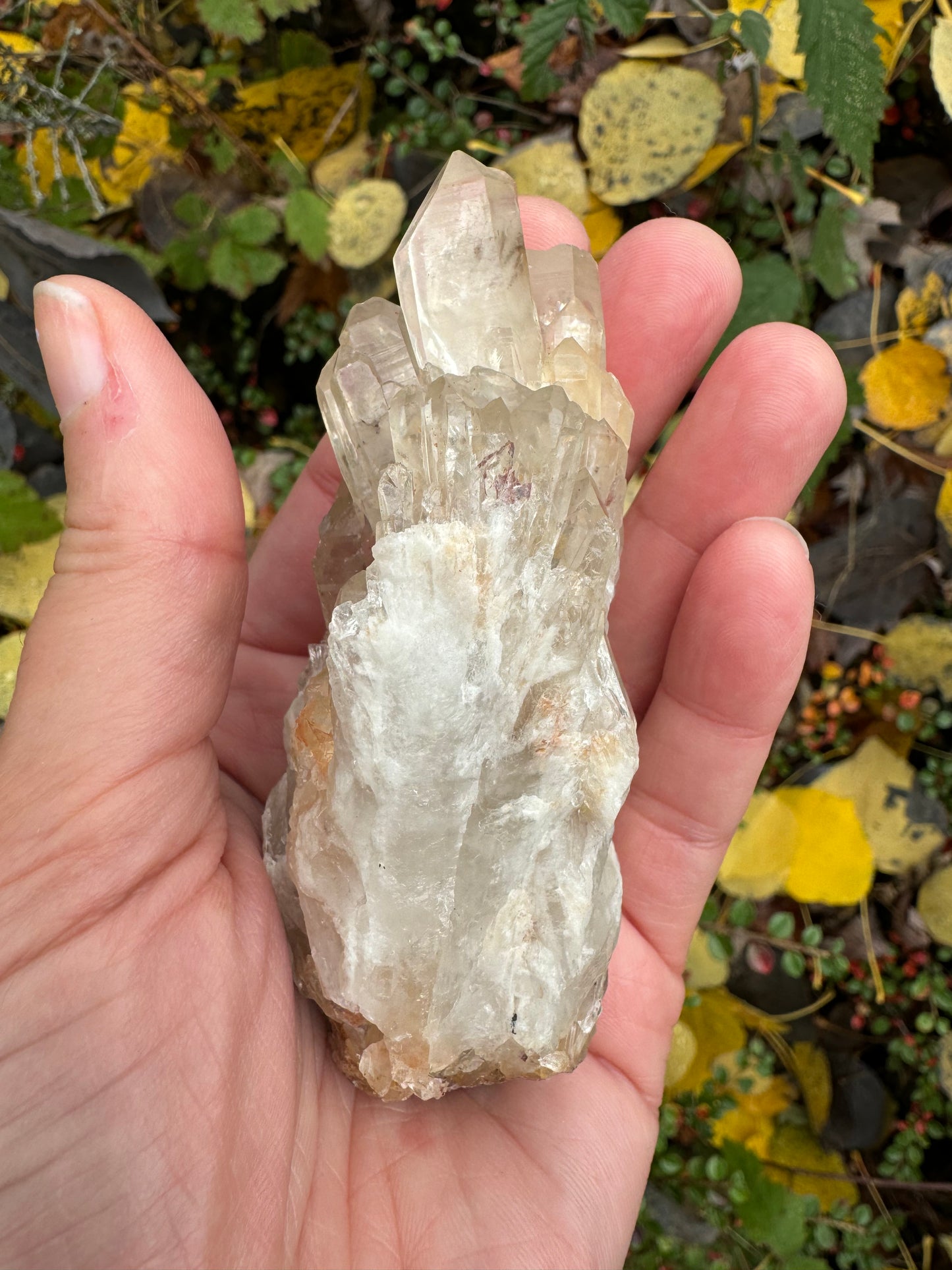 Kundalini Citrine 142 g Rainbows! - Moon Room Shop and Wellness