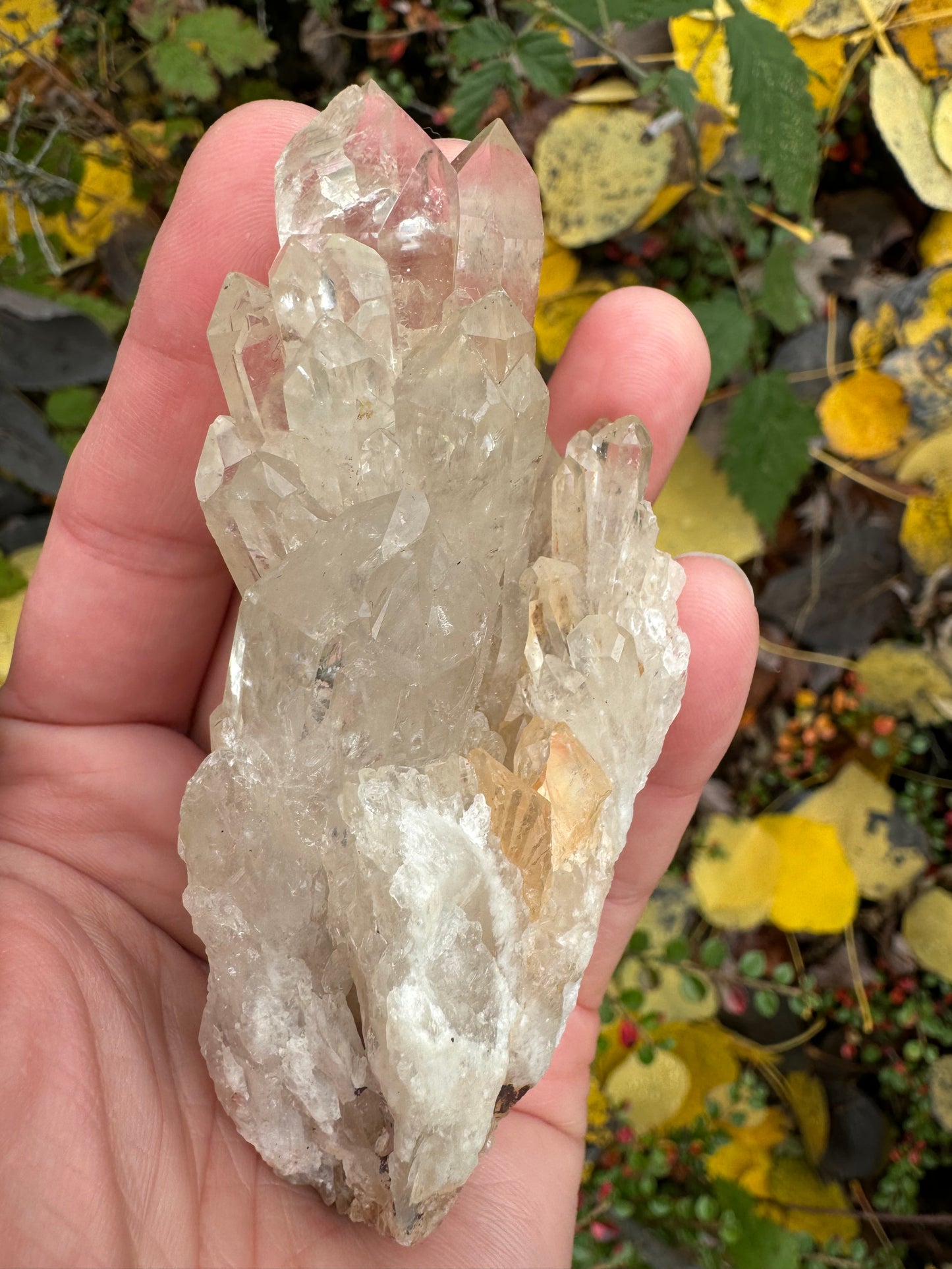 Kundalini Citrine 142 g Rainbows! - Moon Room Shop and Wellness