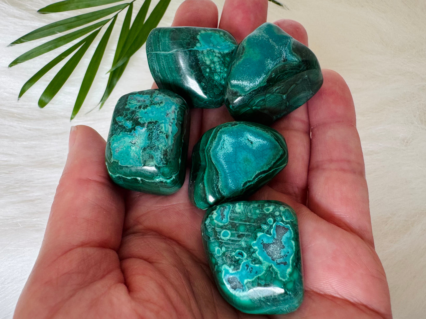 Chrysocolla and Malachite Tumbled - Moon Room Shop and Wellness
