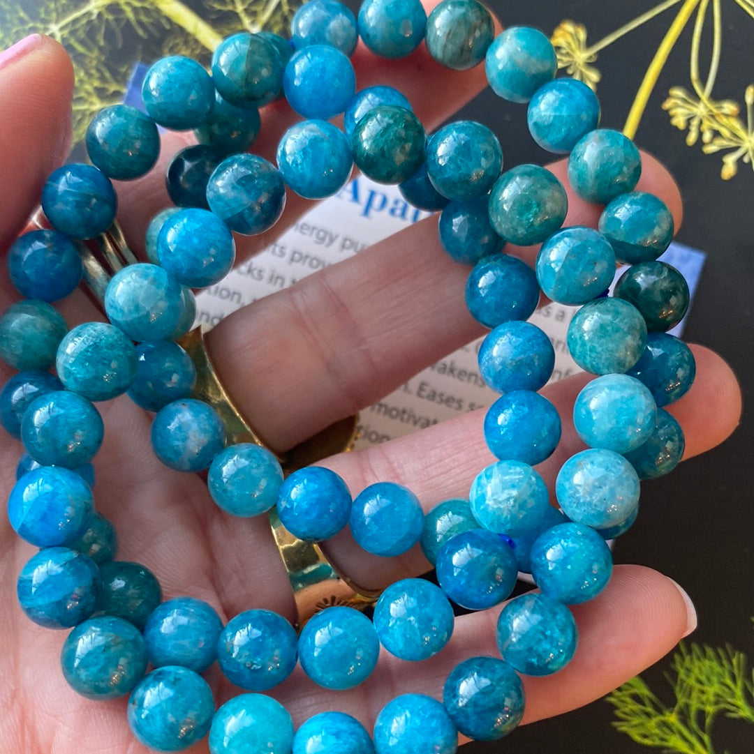 Blue Apatite 8mm Stretch Bracelet - Moon Room Shop and Wellness