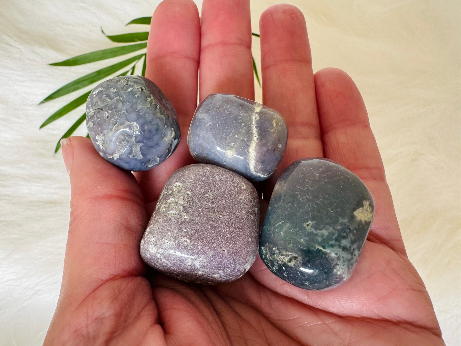 Grape Agate Tumbled Indonesia - Moon Room Shop and Wellness