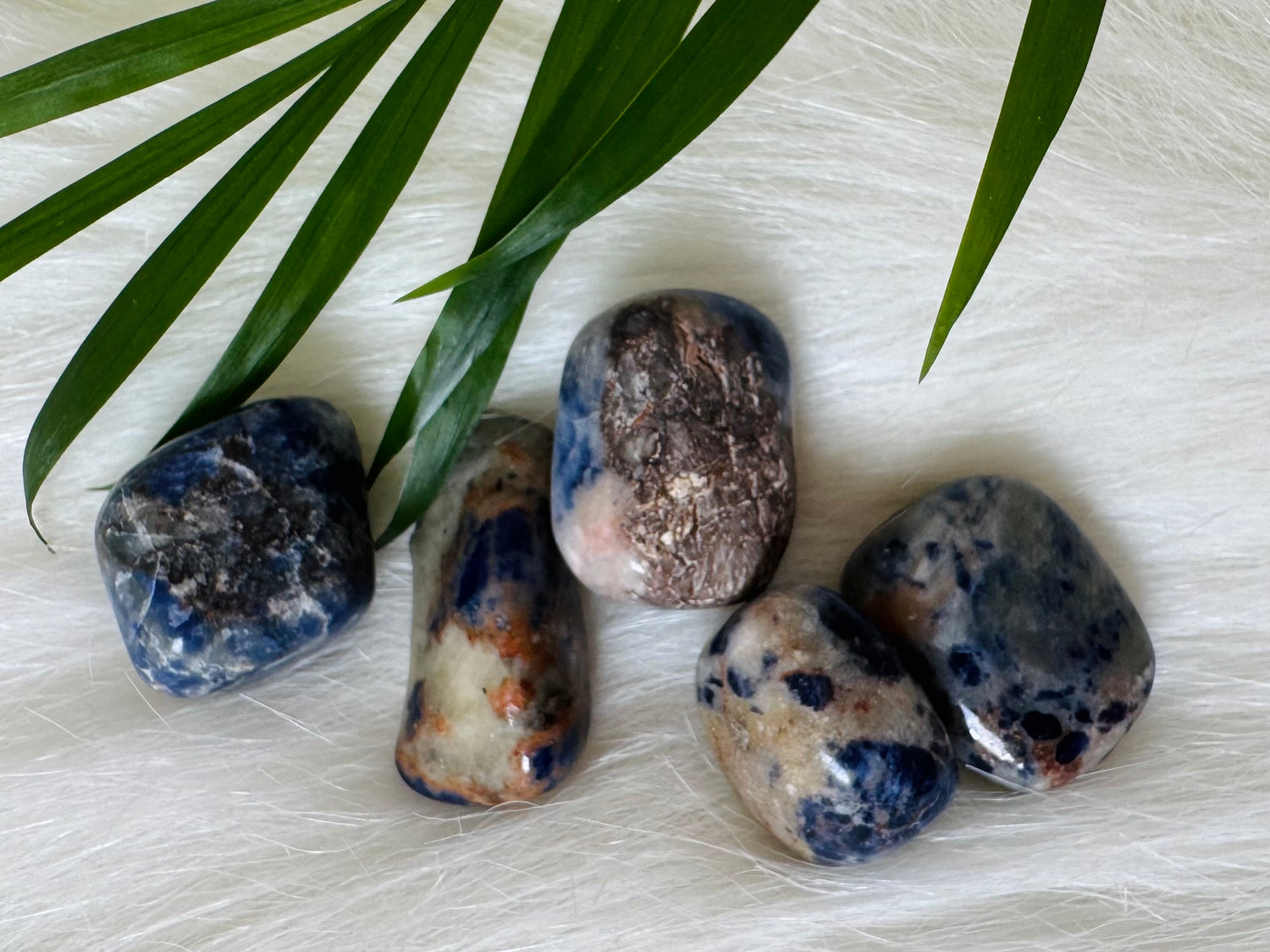 Sodalite Tumbled - Moon Room Shop and Wellness