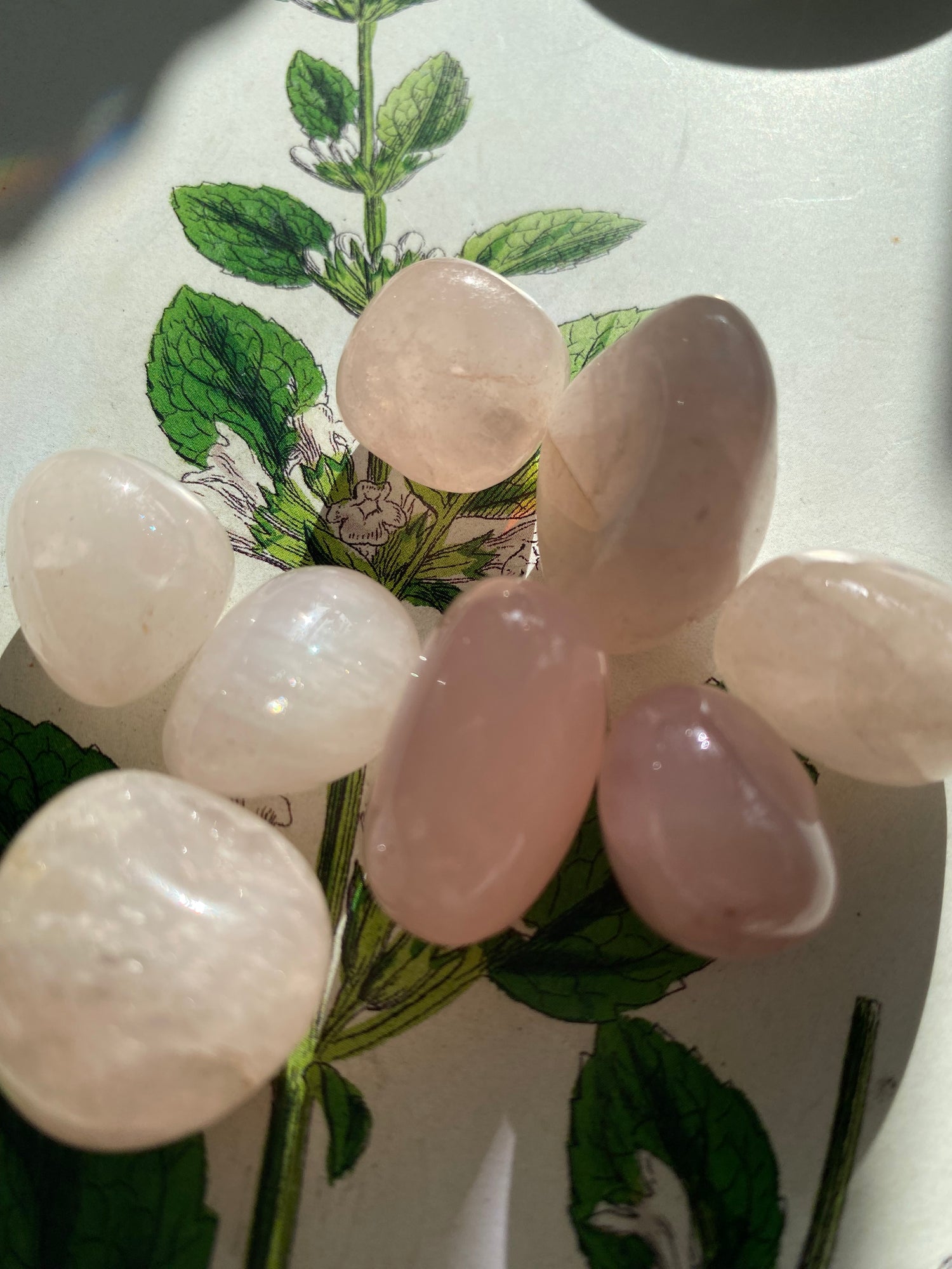 Rose Quartz Tumbled - Moon Room Shop and Wellness