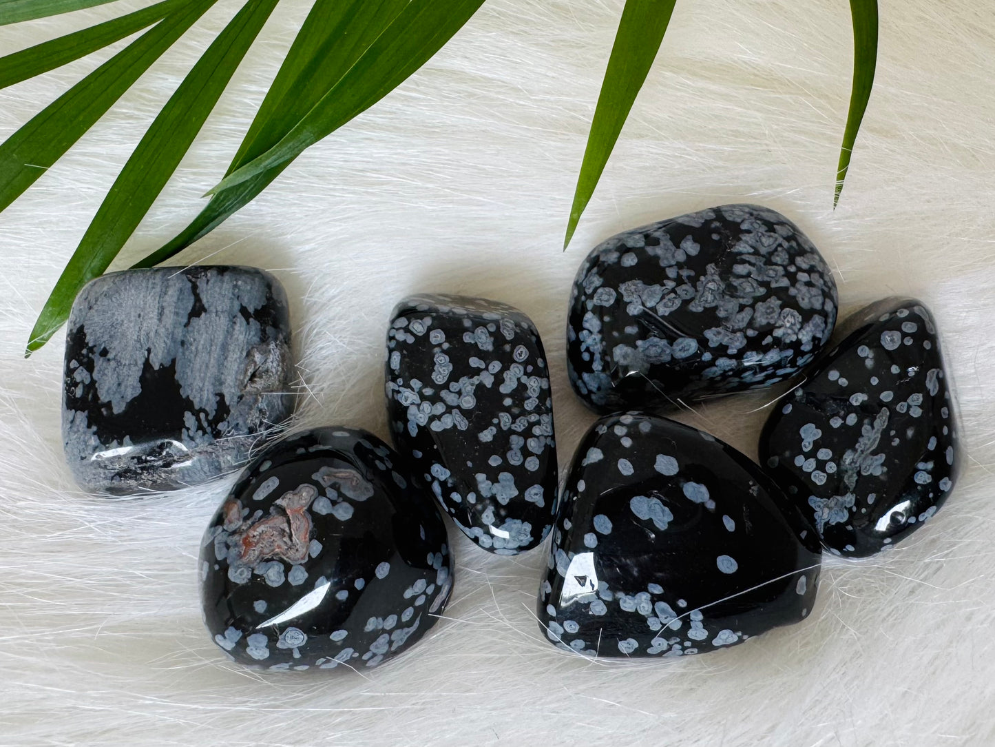 Snowflake Obsidian Tumbled - Moon Room Shop and Wellness