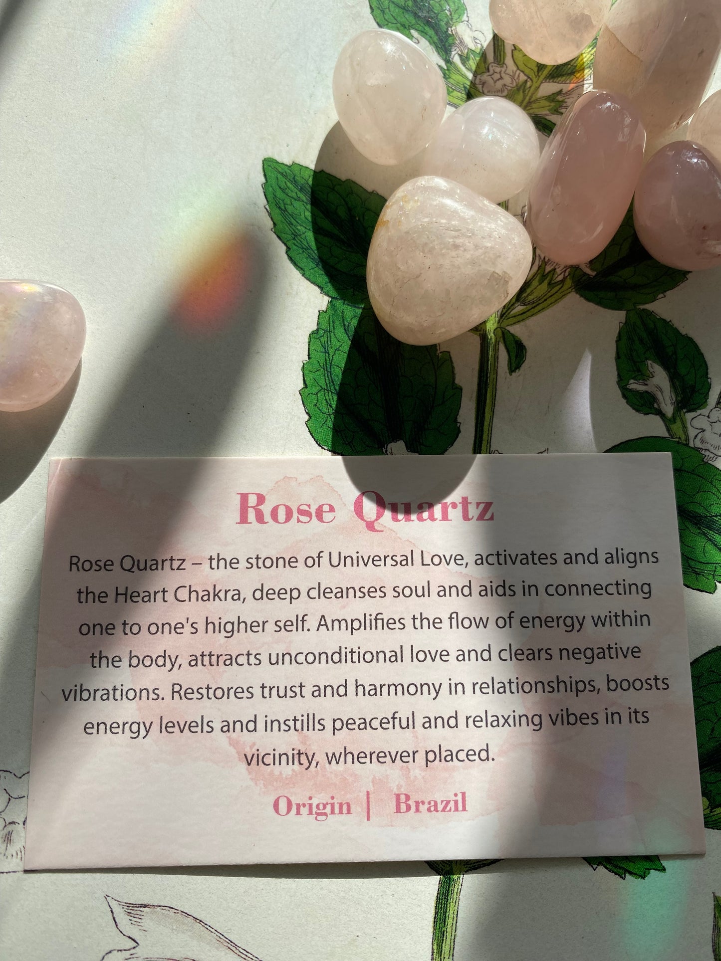 Rose Quartz Tumbled - Moon Room Shop and Wellness
