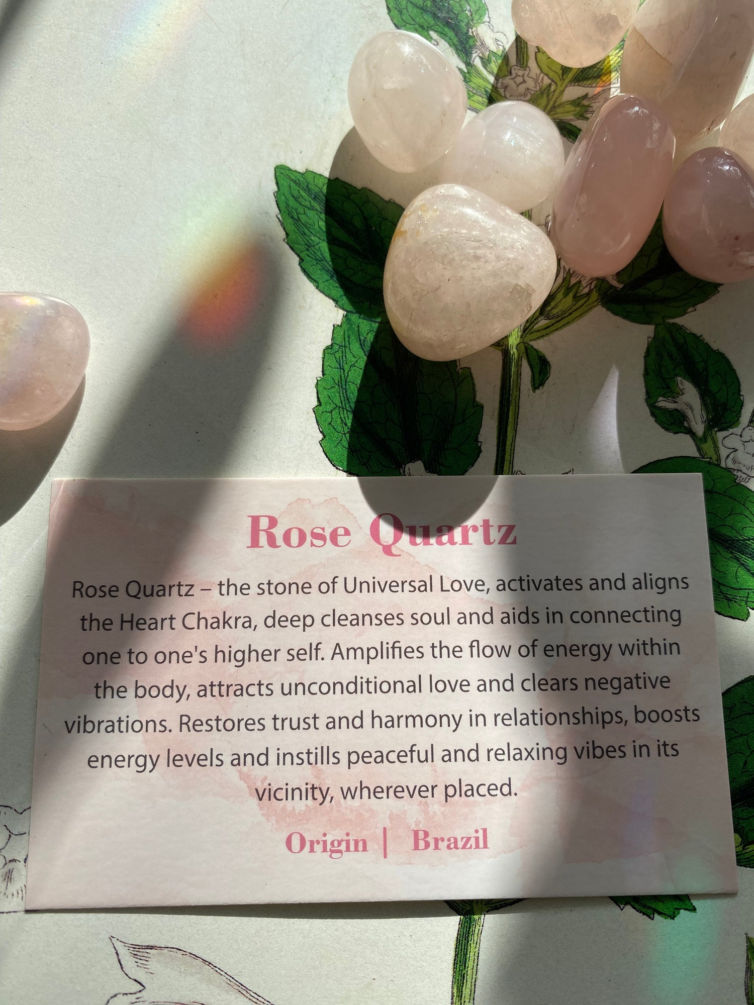 Rose Quartz Tumbled - Moon Room Shop and Wellness
