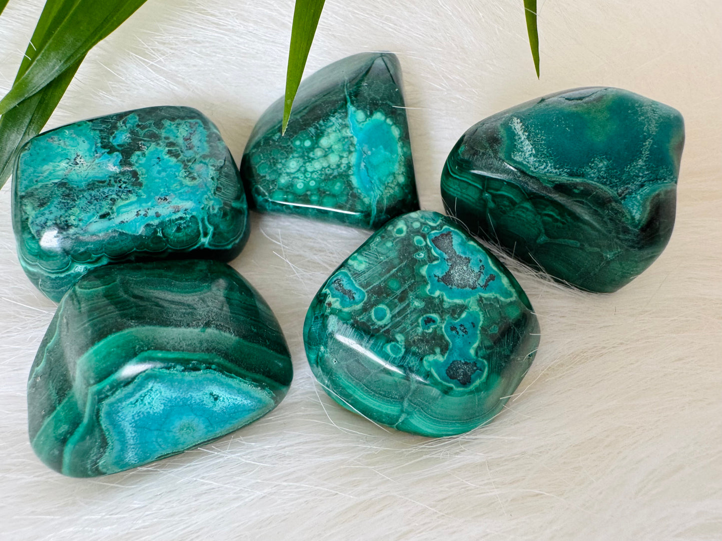 Chrysocolla and Malachite Tumbled - Moon Room Shop and Wellness