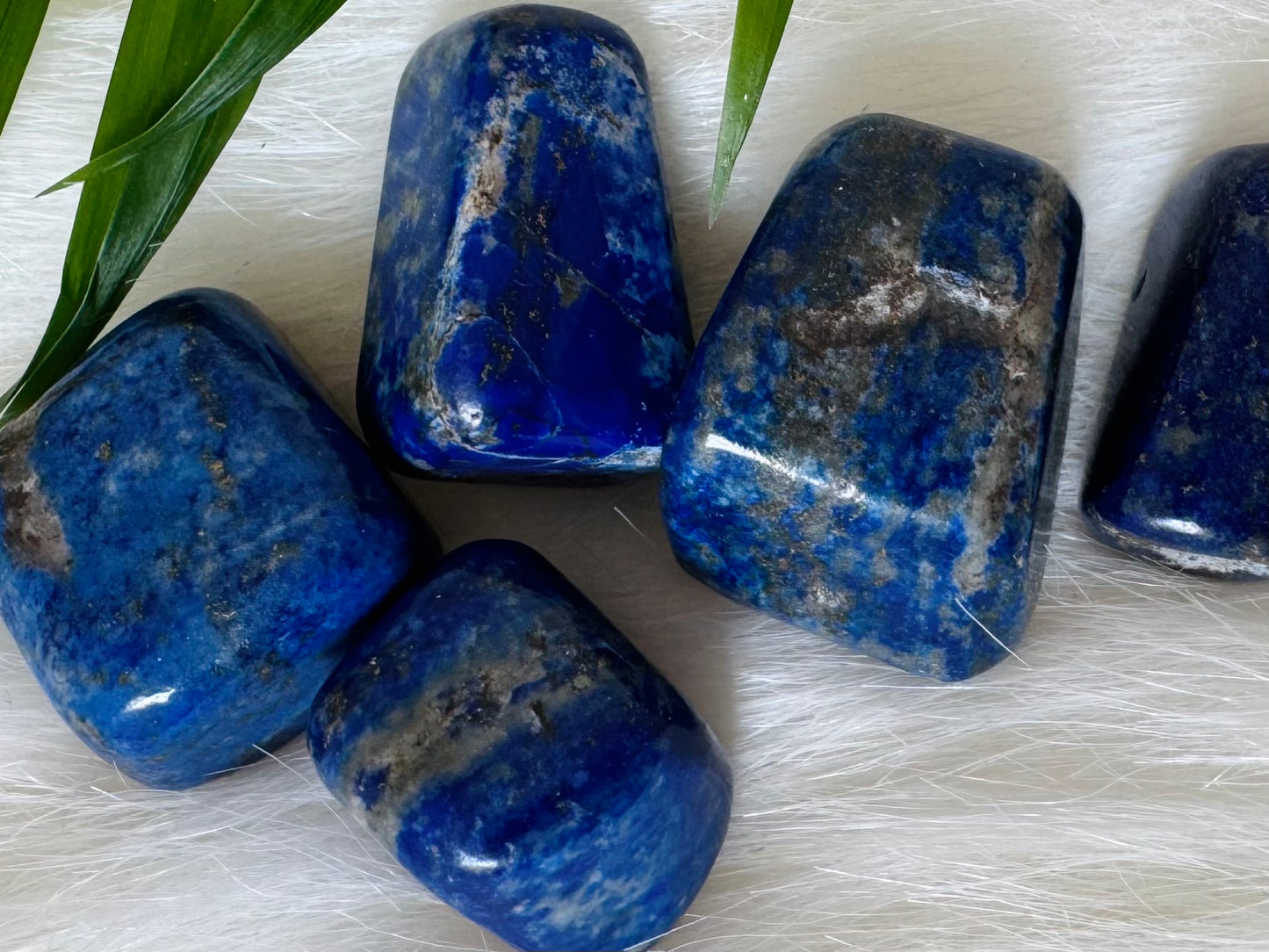 Lapis Lazuli Tumbled - Moon Room Shop and Wellness