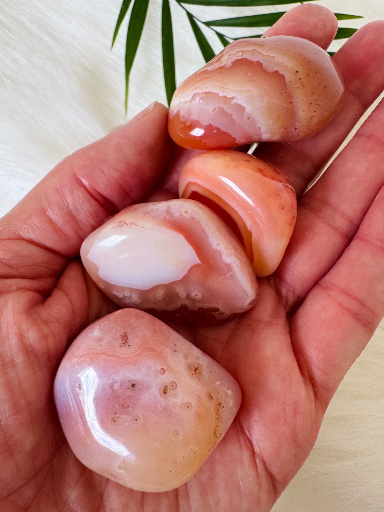 Apricot Agate Tumbled - Moon Room Shop and Wellness