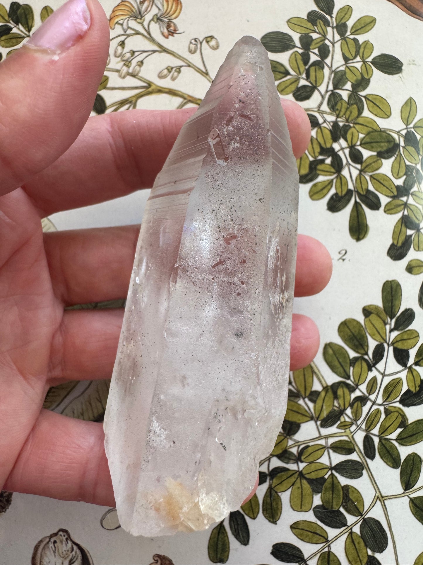 Lemurian Quartz Point 123 g Brazil - Moon Room Shop and Wellness