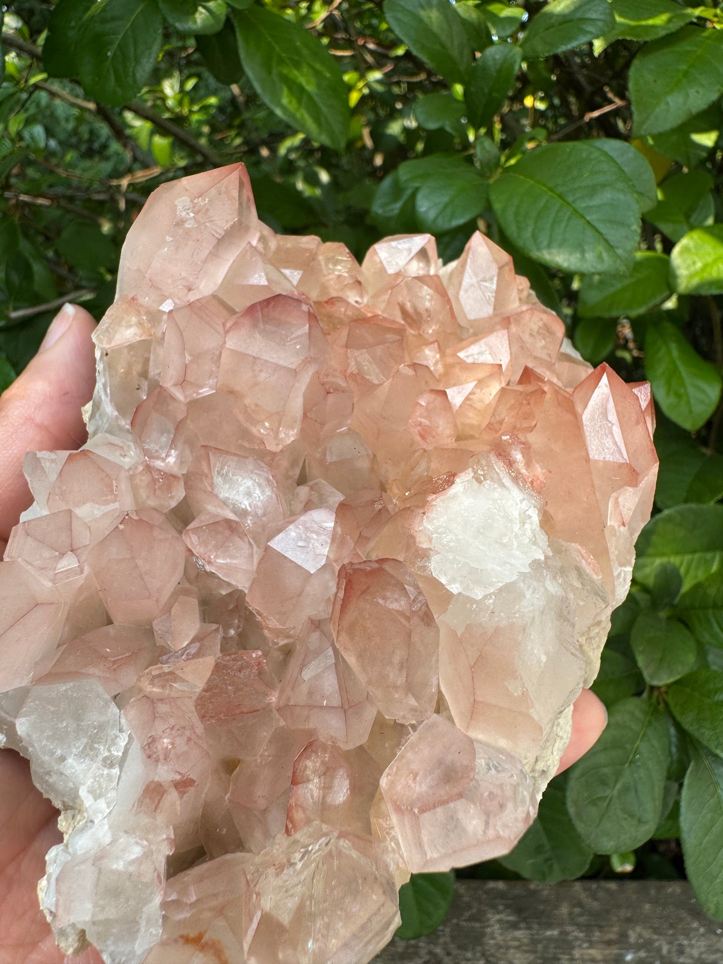Pink Lithium Quartz Cluster 2.2lb - Brazil- Peaceful Beauty! - Moon Room Shop and Wellness