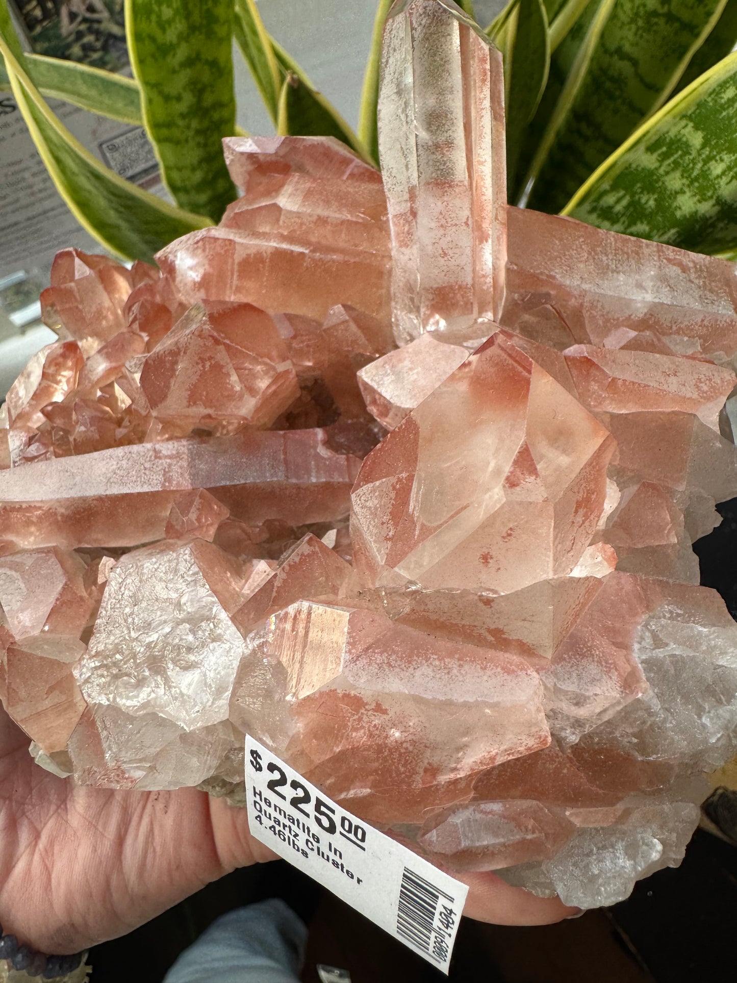 Hematite in Quartz Cluster 4.46lbs - Moon Room Shop and Wellness