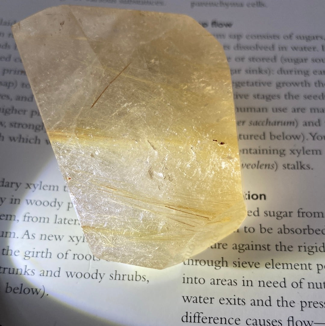 Gold Rutilated Quartz Freeform 115 g - Moon Room Shop and Wellness