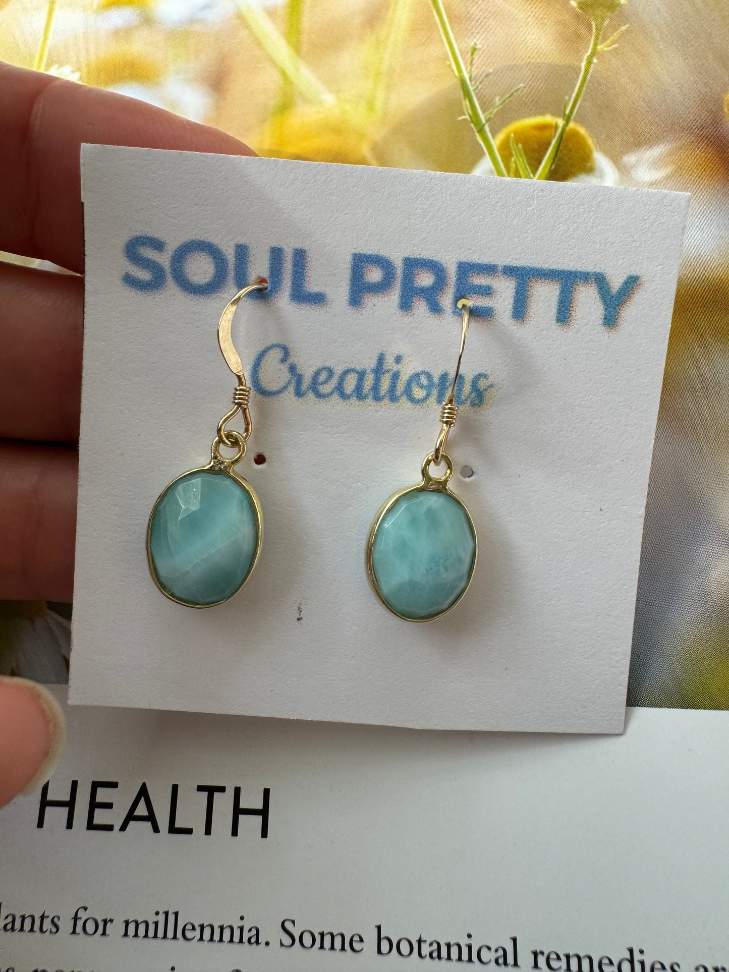 Larimar Gold Fill Earrings - Moon Room Shop and Wellness