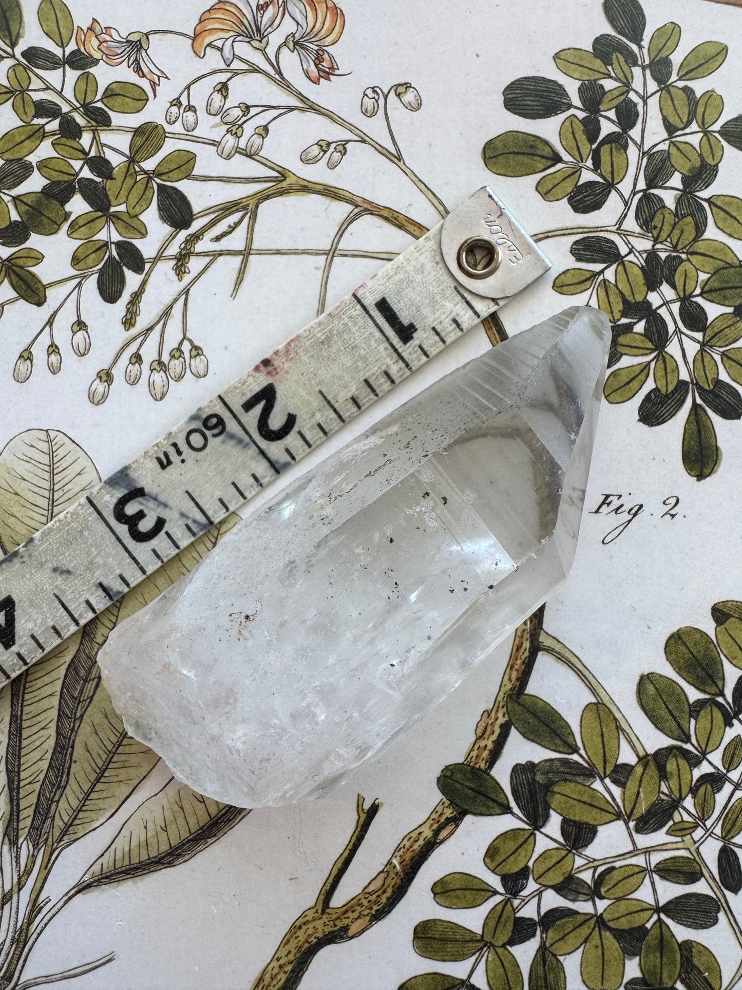Lemurian Quartz Point 123 g Brazil - Moon Room Shop and Wellness
