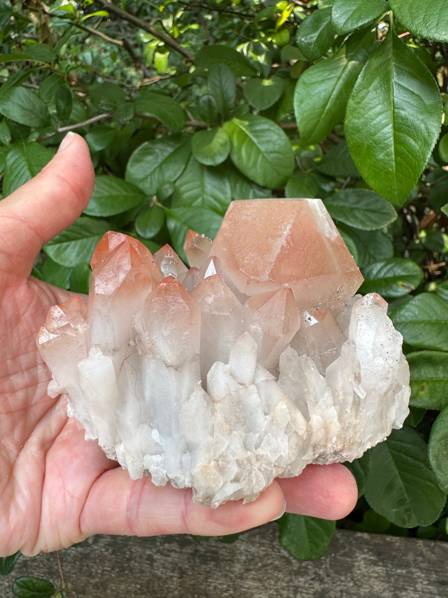 Pink Lithium Quartz Cluster 456 g - Brazil- Peaceful Beauty! - Moon Room Shop and Wellness