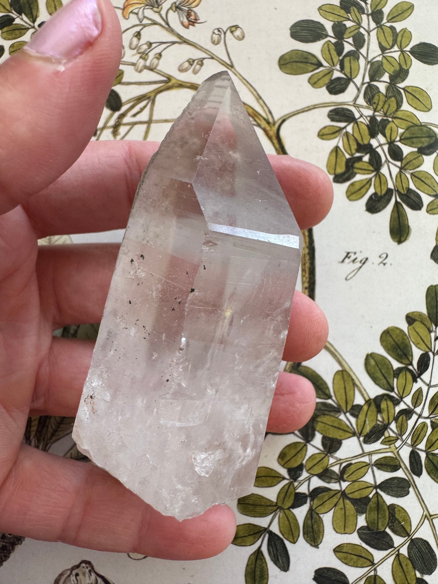 Lemurian Quartz Point 123 g Brazil - Moon Room Shop and Wellness