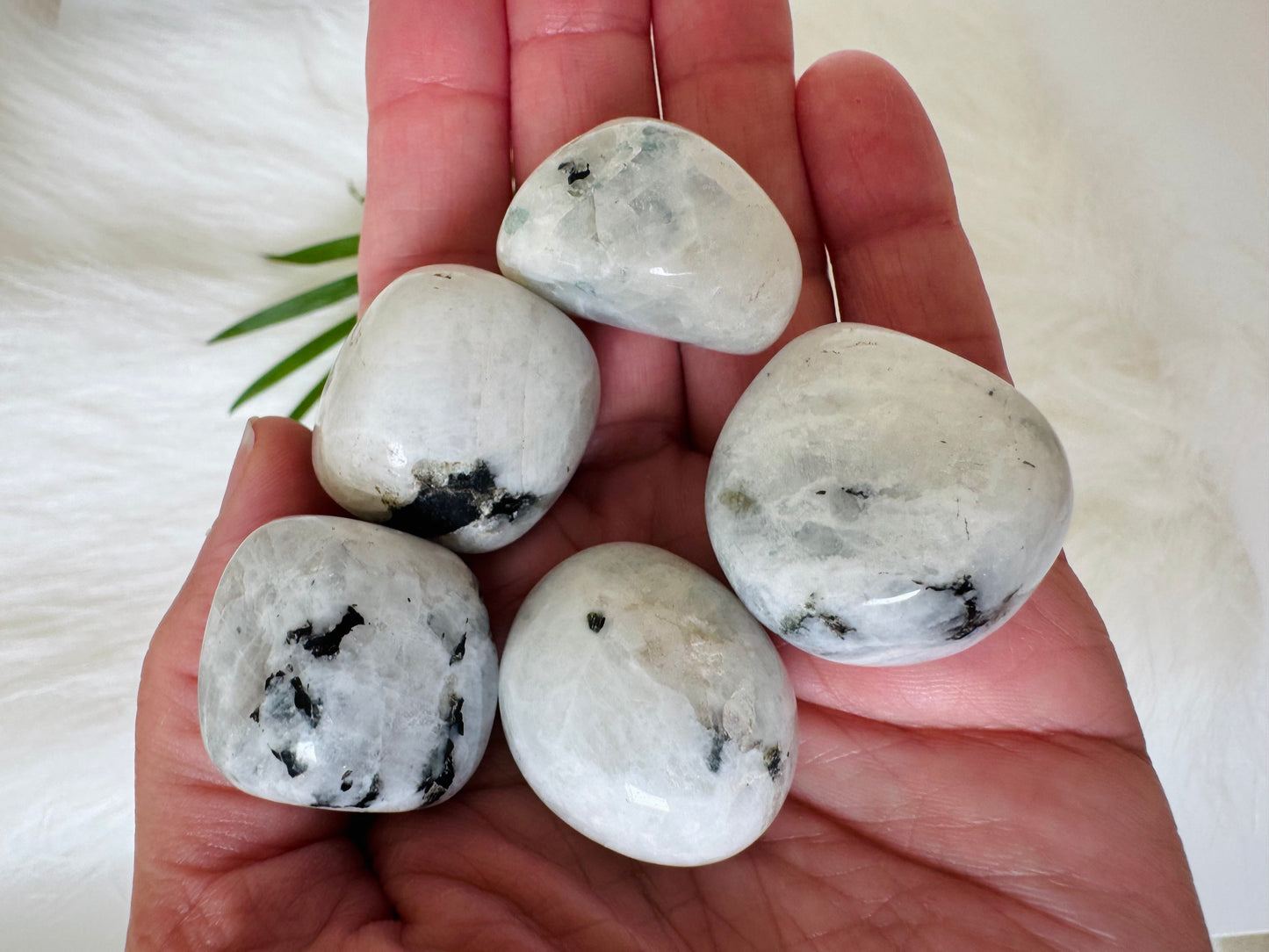 Rainbow Moonstone Tumbled - Moon Room Shop and Wellness