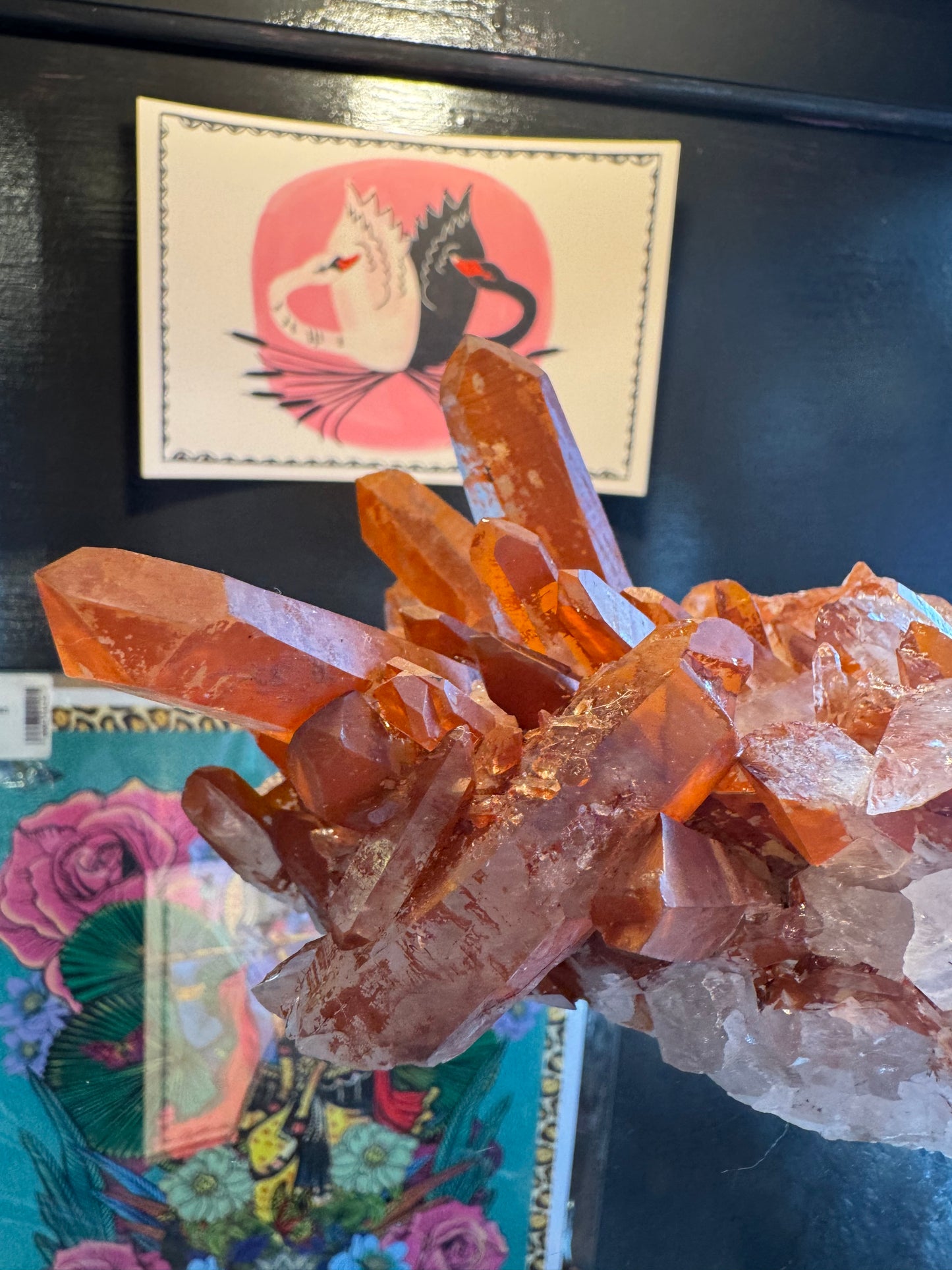 Tangerine Quartz Cluster 1.93 lbs Stunner! - Moon Room Shop and Wellness
