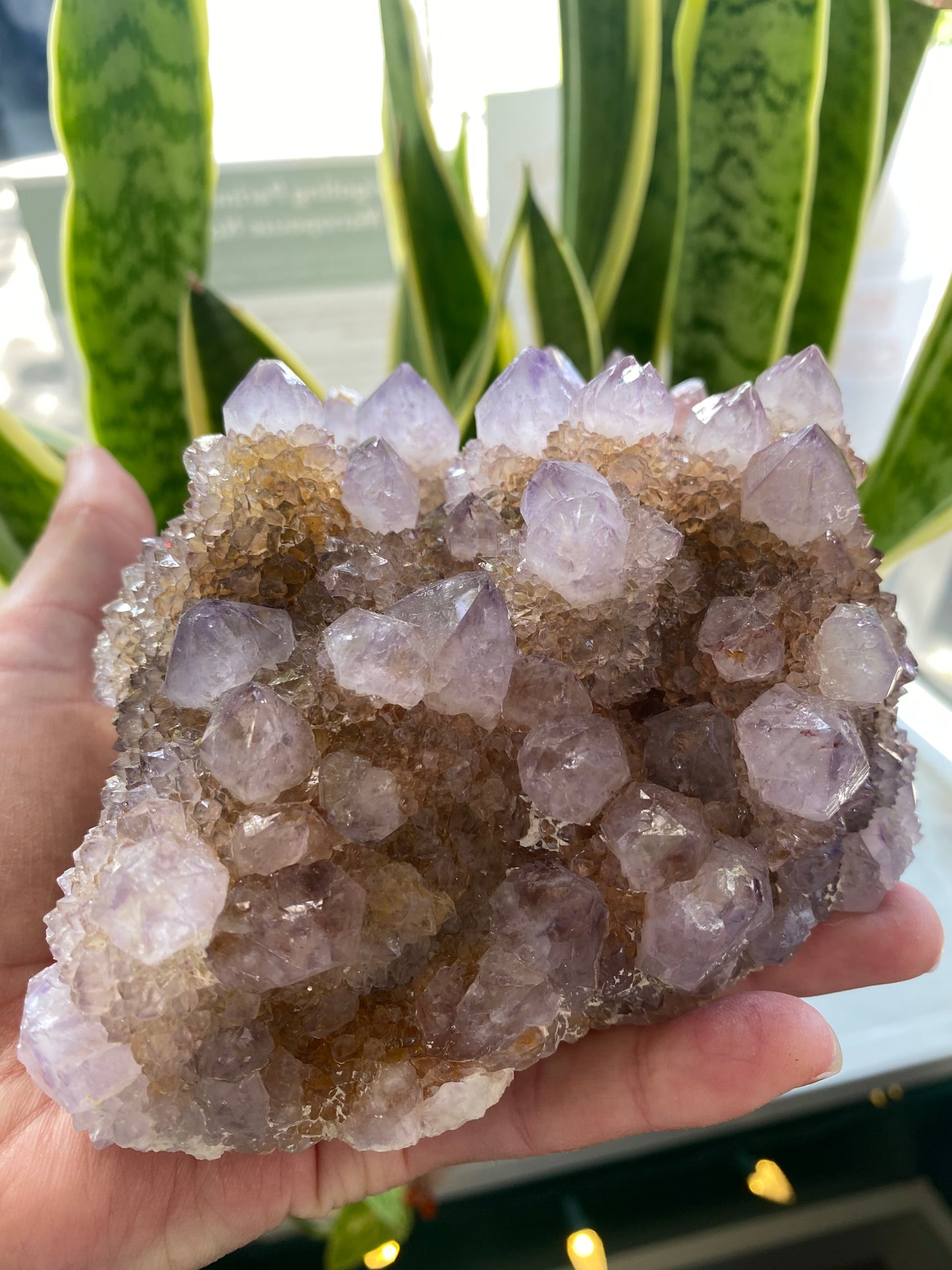Spirit Quartz Specimen/Cluster 2.68 lb -South Africa - Moon Room Shop and Wellness
