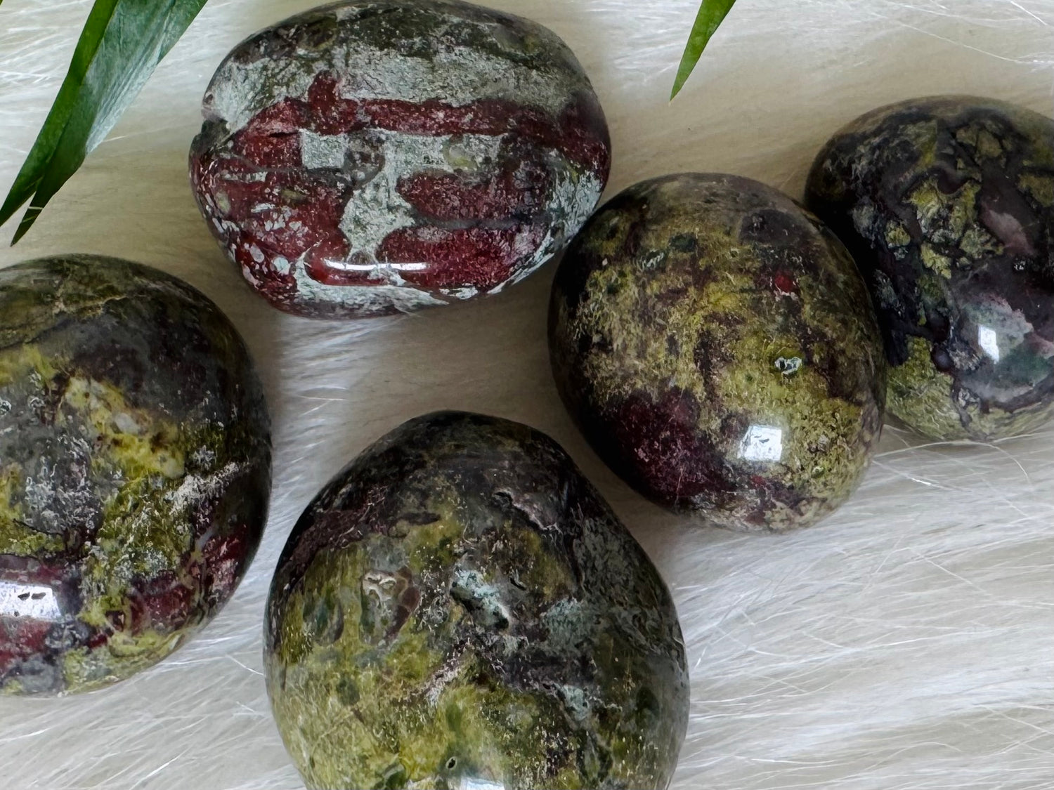 Dragon Bloodstone Tumbled - Moon Room Shop and Wellness