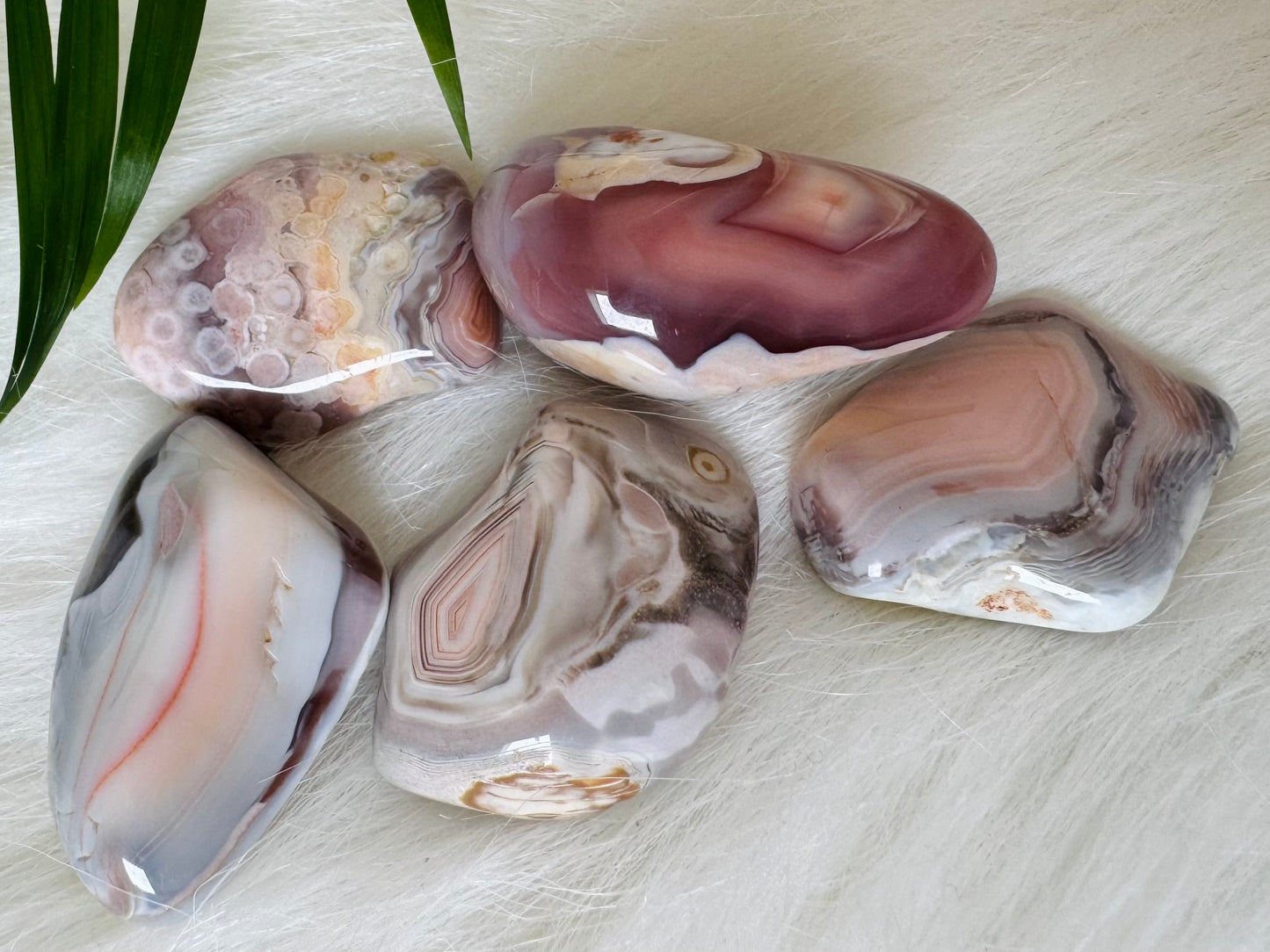 Pink Botswana Agate Tumbled - Moon Room Shop and Wellness