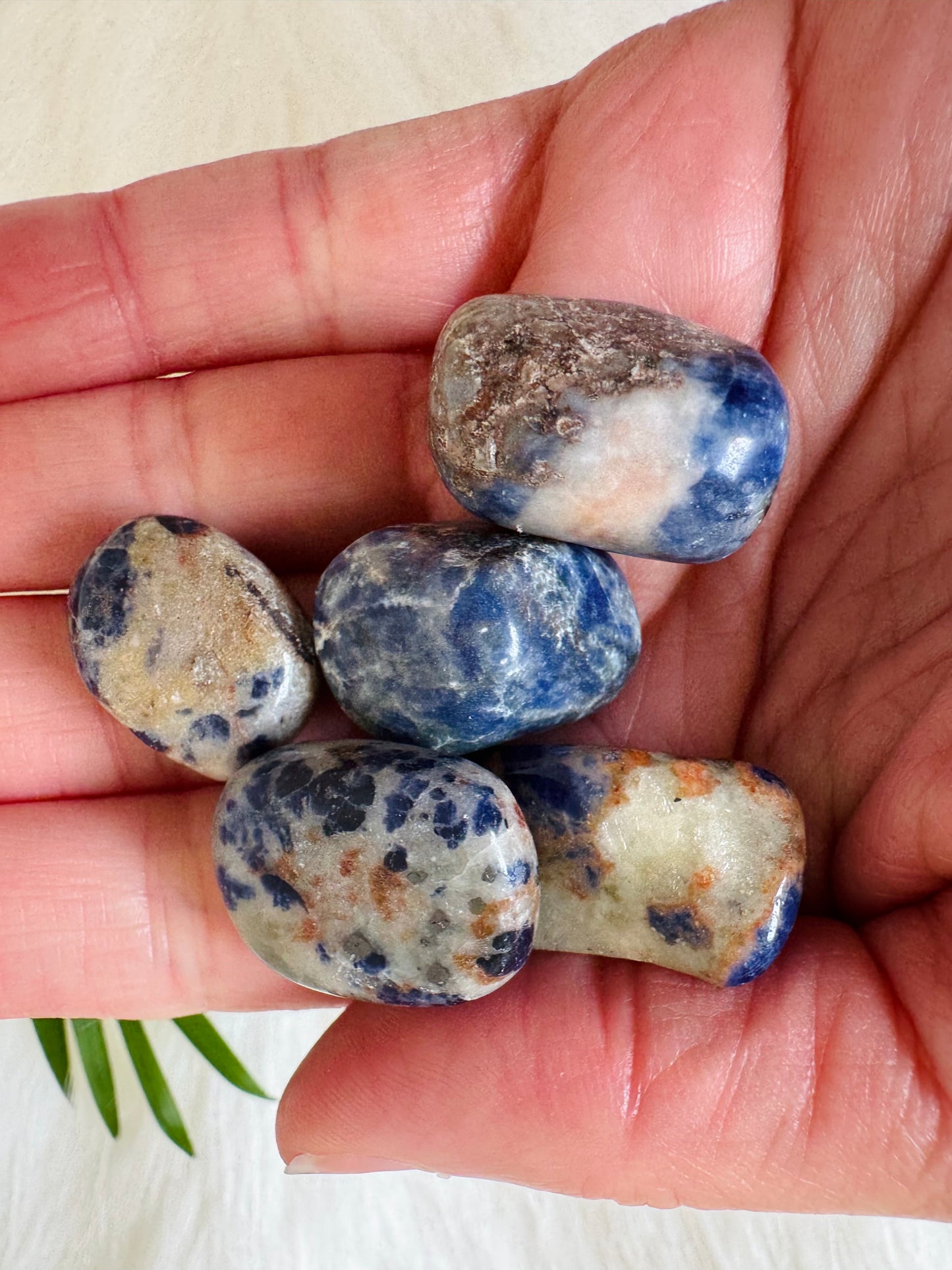 Sodalite Tumbled - Moon Room Shop and Wellness