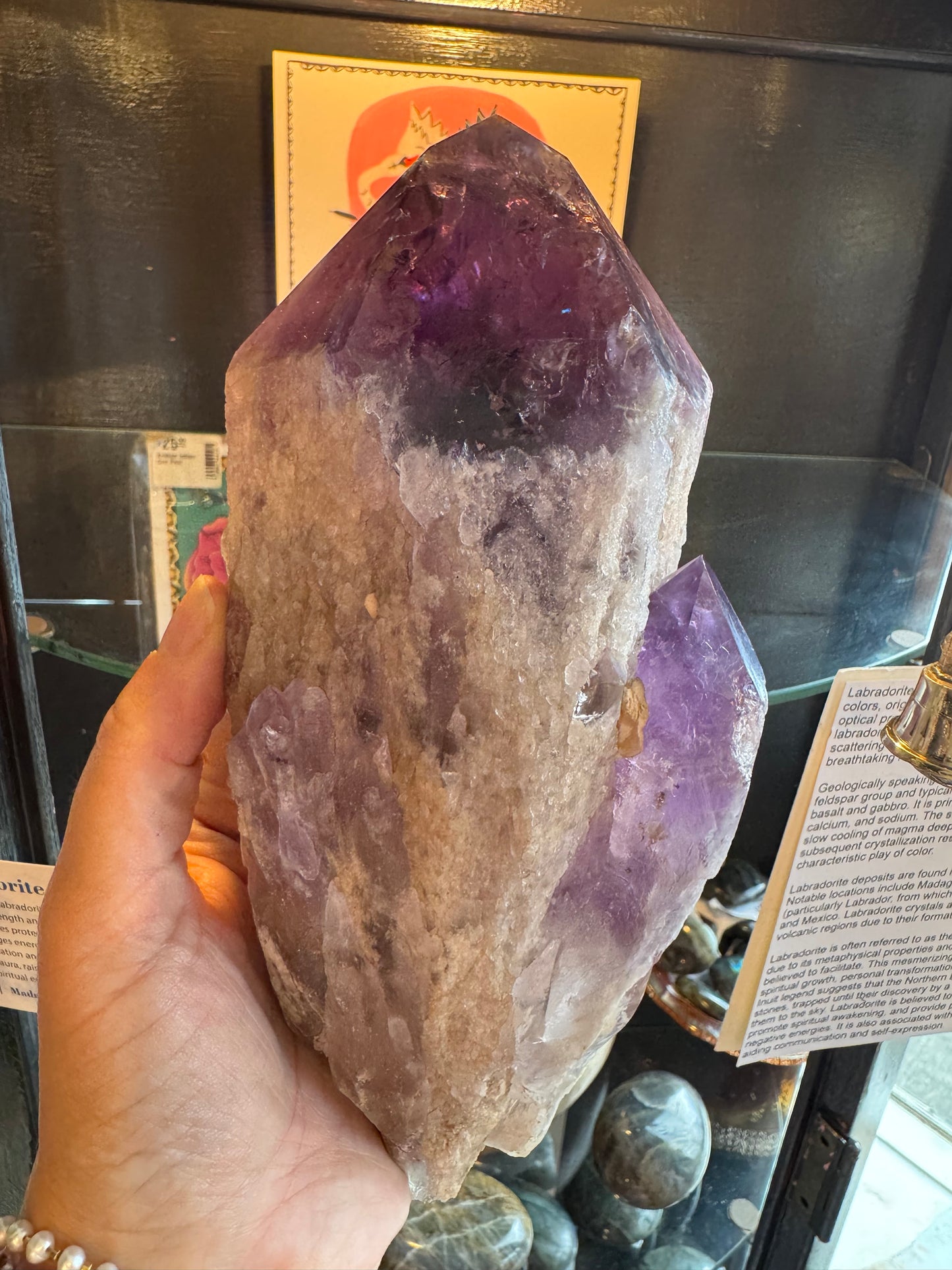 Amethyst Double Point Spear Dragons Tooth Spear 2.75 lb - Moon Room Shop and Wellness