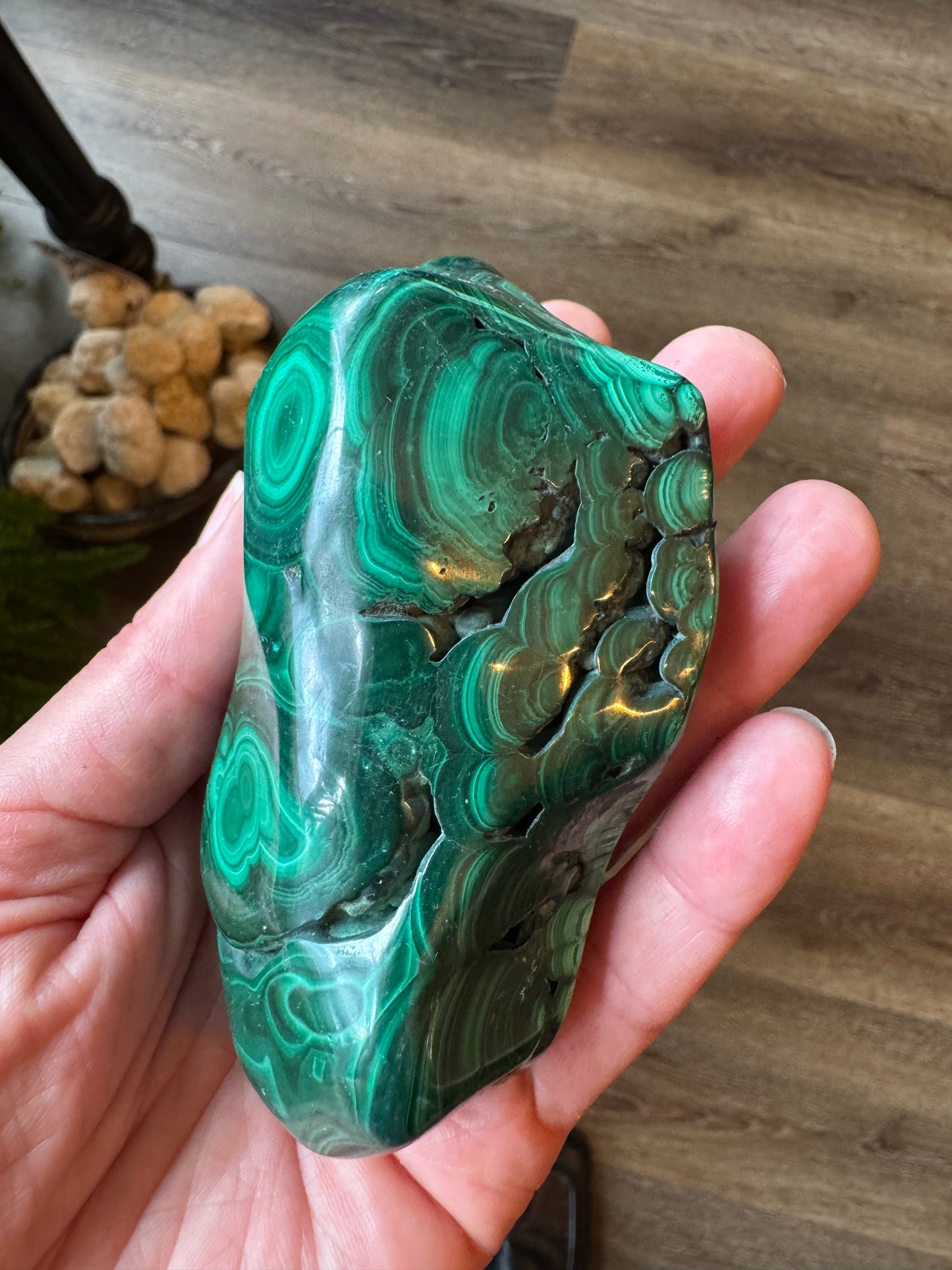 Malachite Freeform 366 g -Congo Polished Beauty! - Moon Room Shop and Wellness