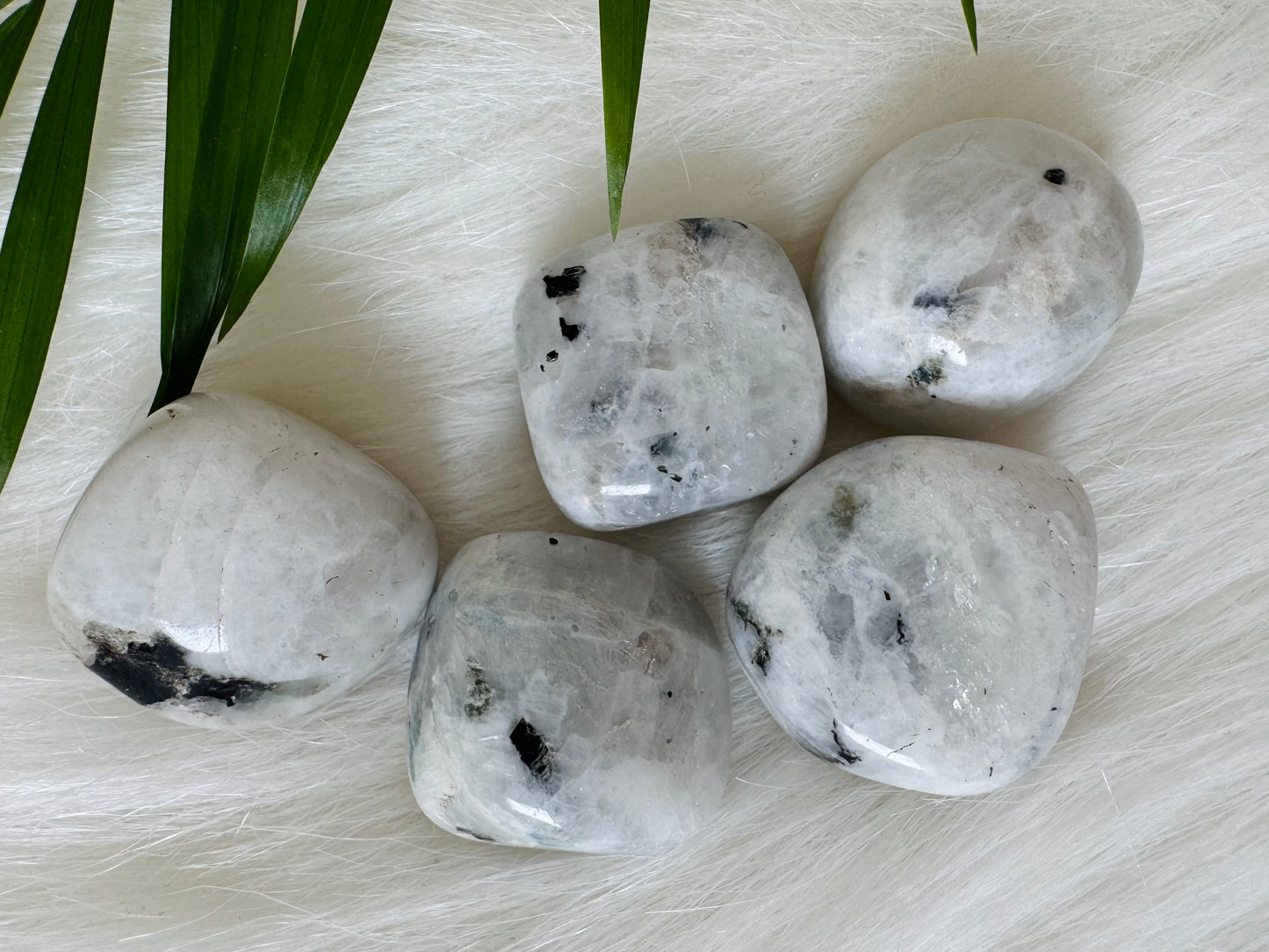 Rainbow Moonstone Tumbled - Moon Room Shop and Wellness
