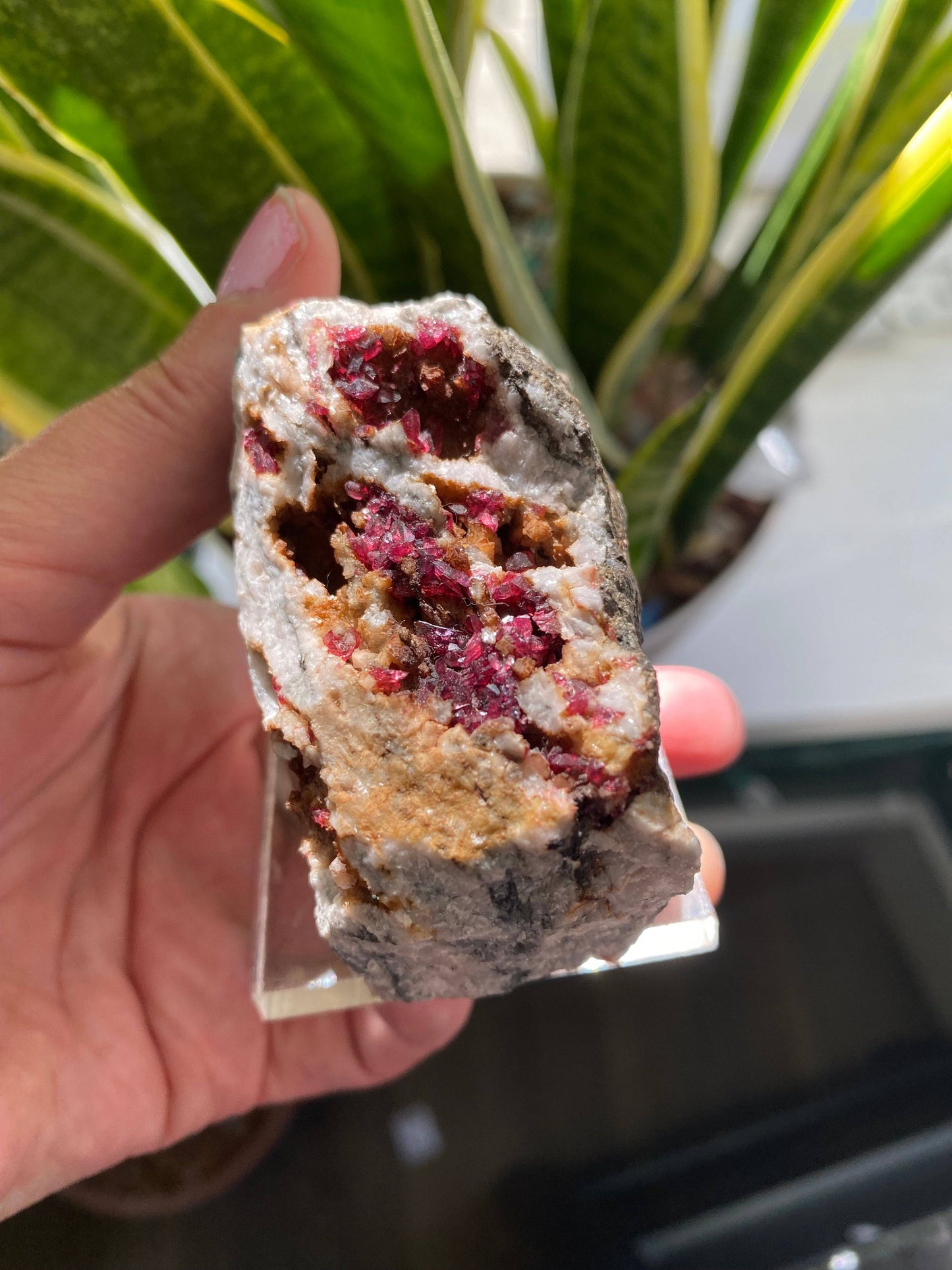Roselite and Heterogenite on Dolomite 233 g Aghbar Mine Morocco - Moon Room Shop and Wellness