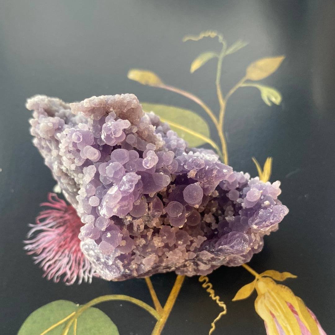 Grape Agate Botryoidal Specimen 118 g Sulawesi, Indonesia - Moon Room Shop and Wellness