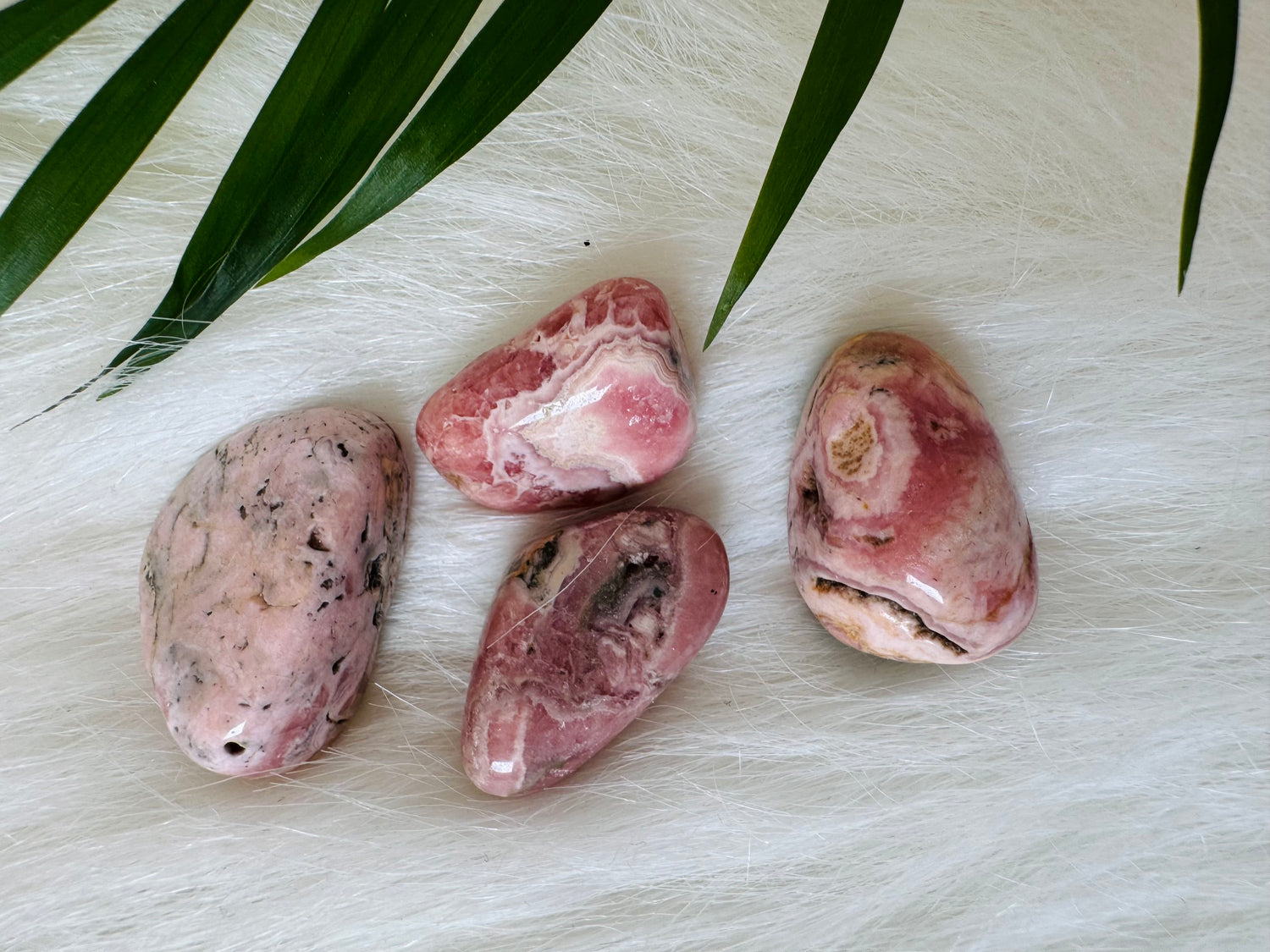 Rhodochrosite Tumbled Large - Moon Room Shop and Wellness