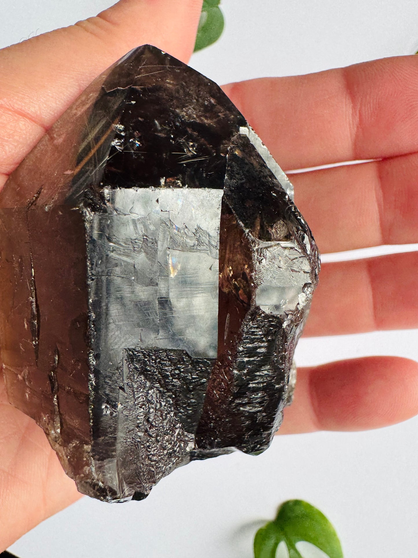 Smoky Quartz Rutilated Beauty 176 g. Brazil - Moon Room Shop and Wellness