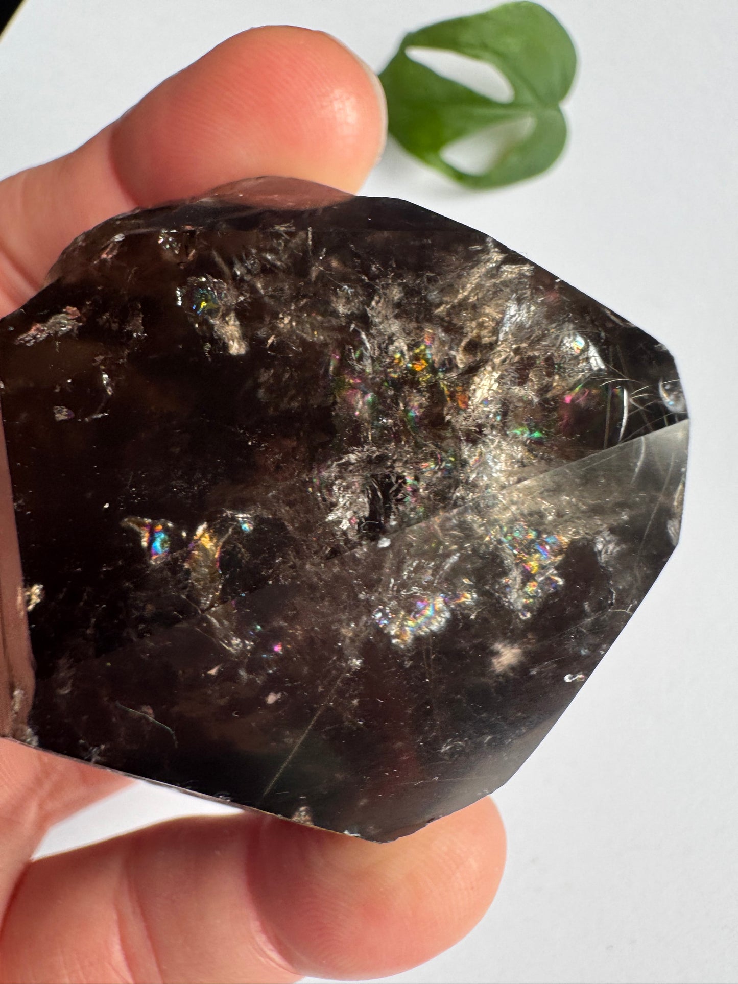 Smoky Quartz Rutilated Beauty 176 g. Brazil - Moon Room Shop and Wellness