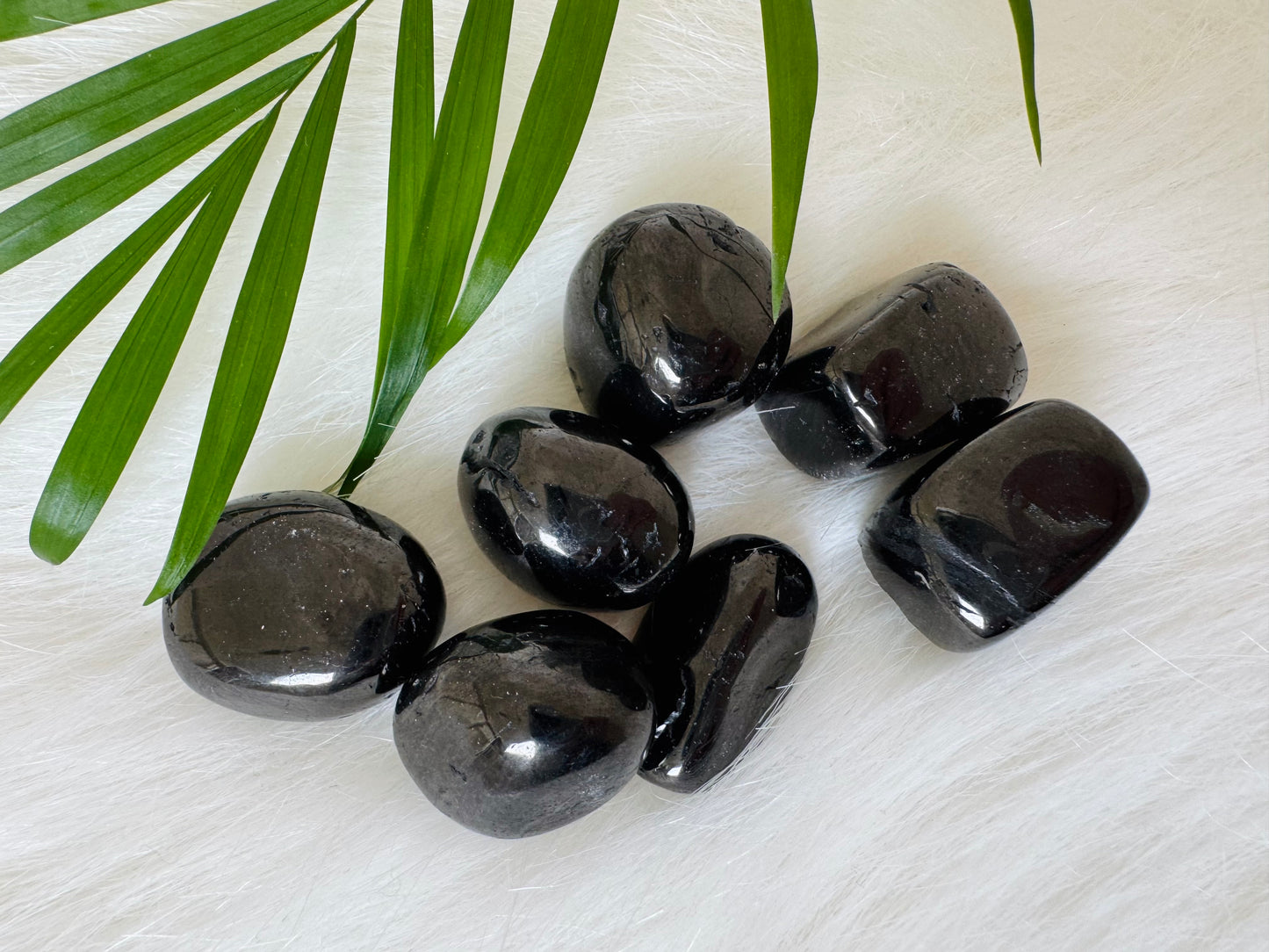 Jet Rock Tumbled - Moon Room Shop and Wellness