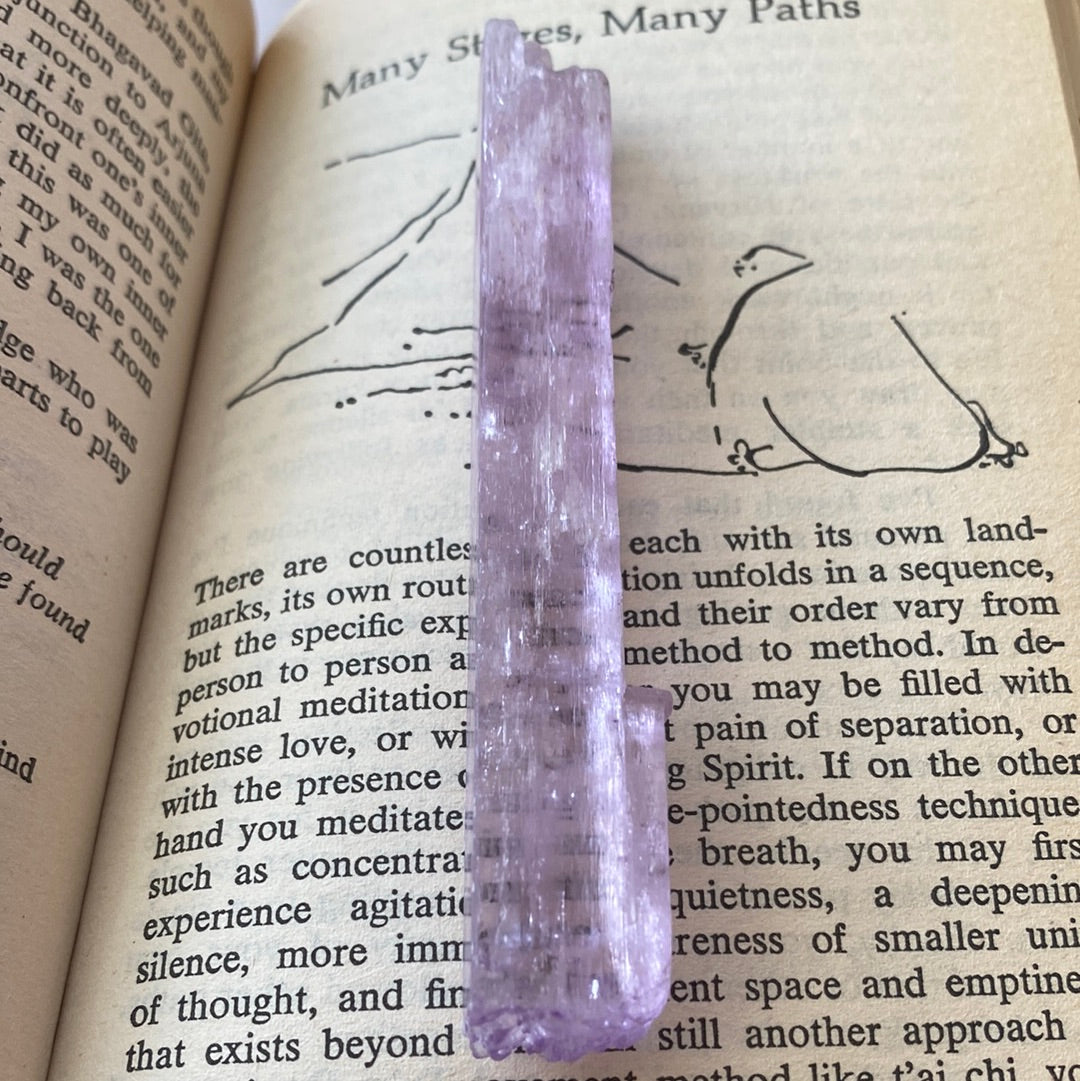 Kunzite -Pakistan- 240 ct - Moon Room Shop and Wellness