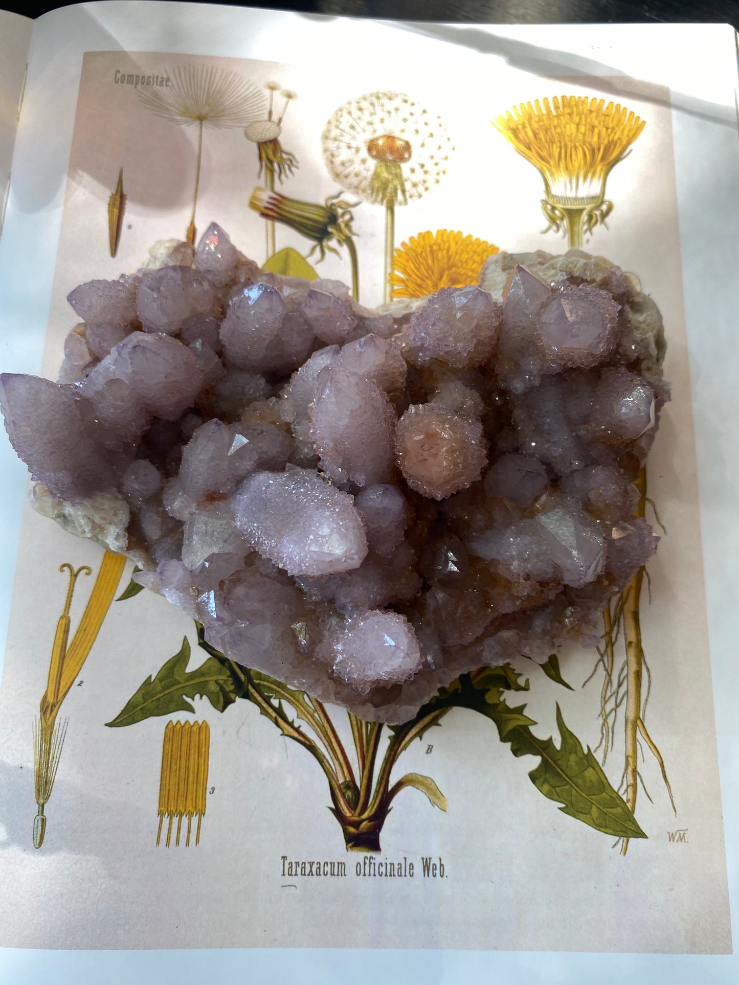Spirit Quartz Cluster 1.28 lbs South Africa - Moon Room Shop and Wellness