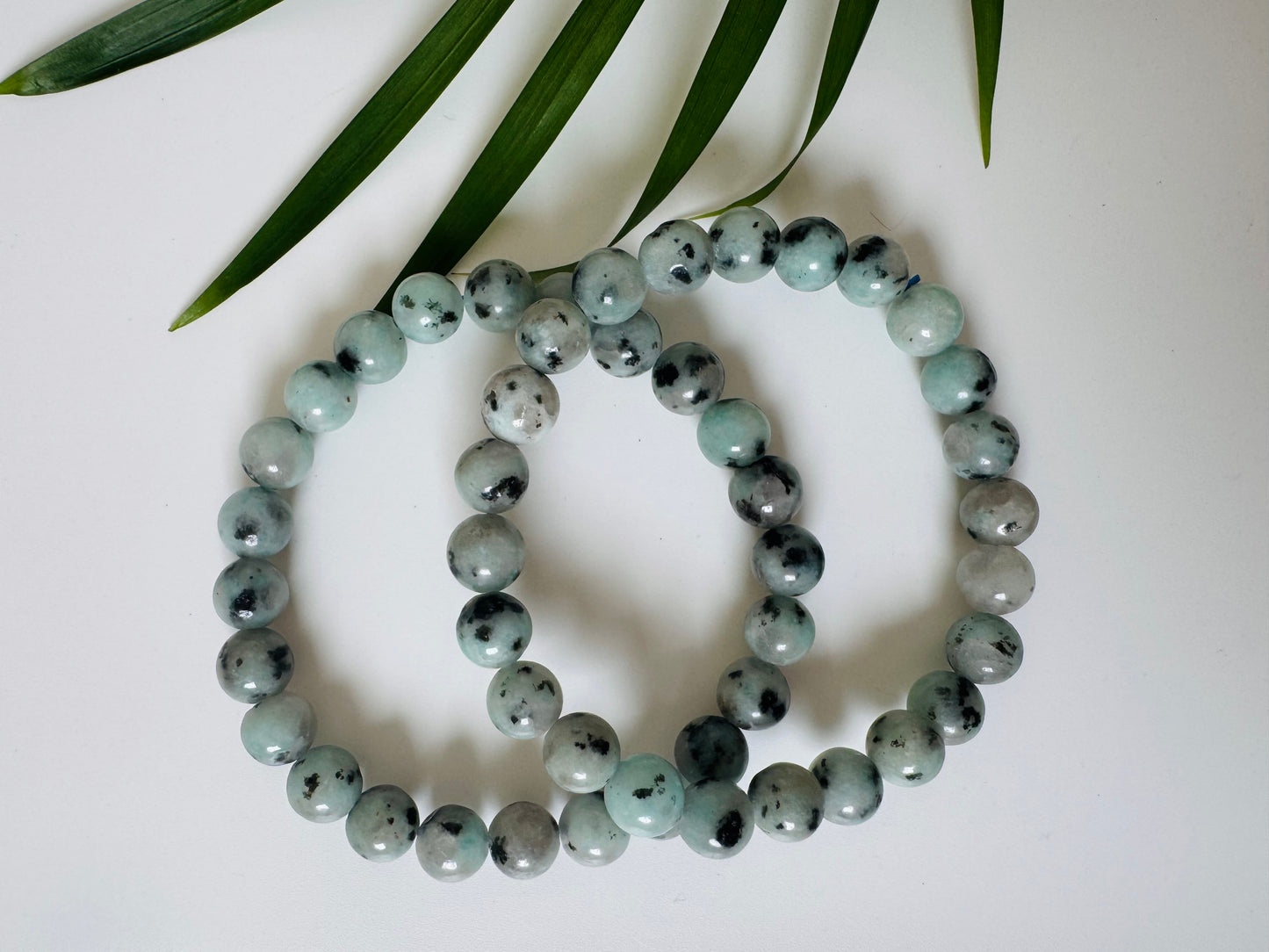 Kiwi Jasper Stretch Bracelet 8mm - Moon Room Shop and Wellness