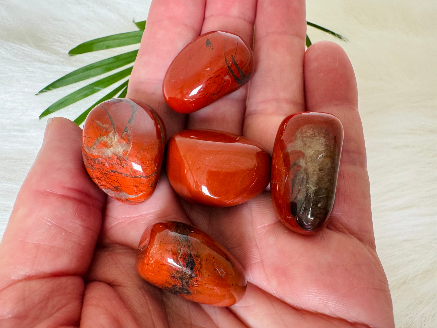 Red Jasper Tumbled India - Moon Room Shop and Wellness