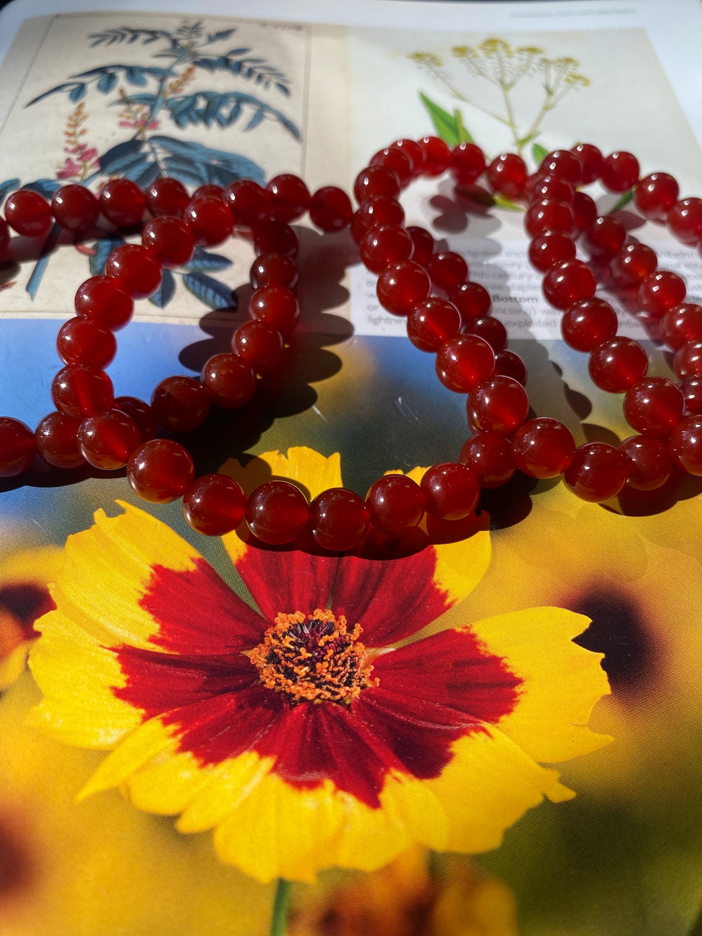 Carnelian Stretch Bracelet - Moon Room Shop and Wellness