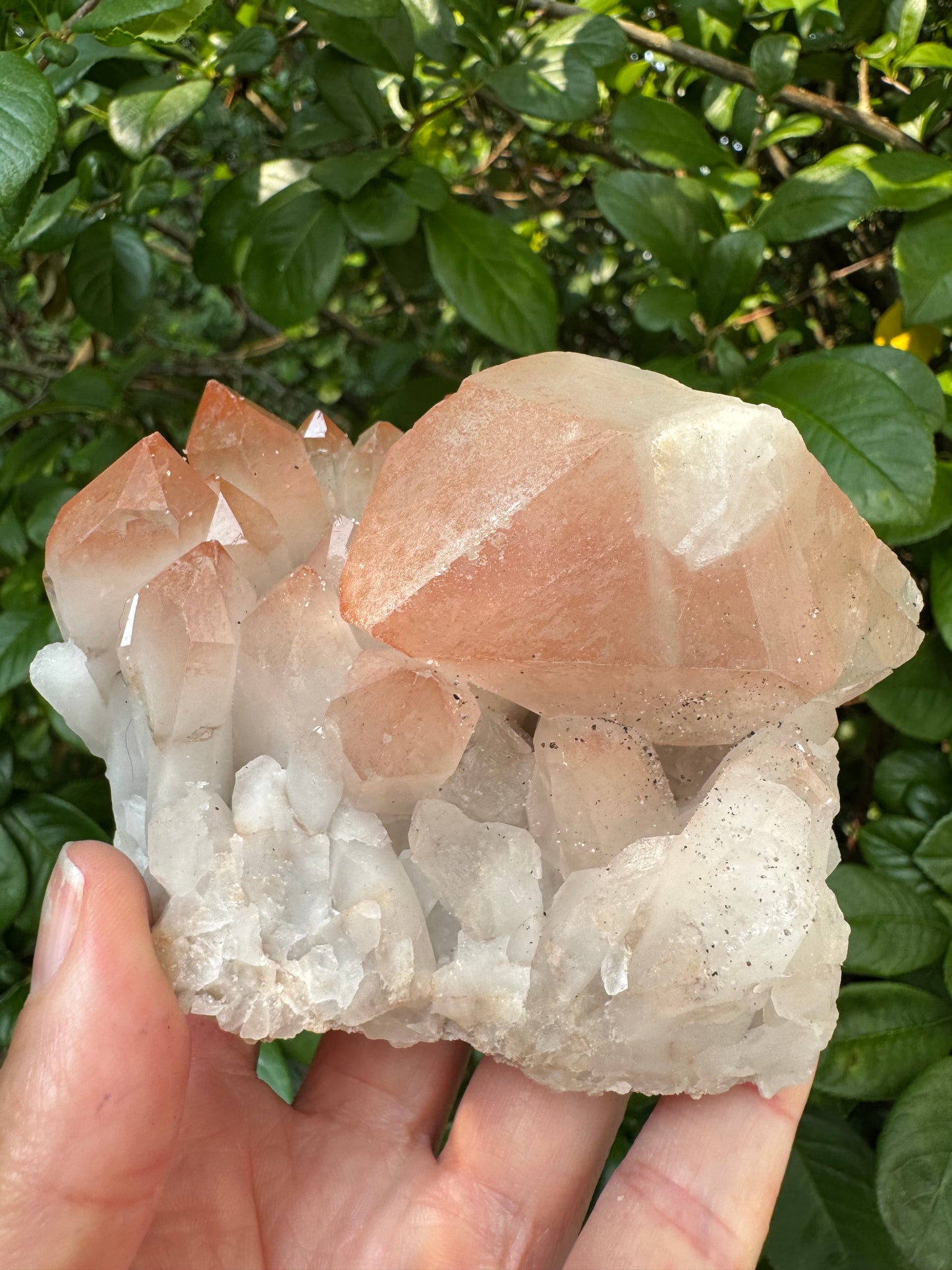 Pink Lithium Quartz Cluster 456 g - Brazil- Peaceful Beauty! - Moon Room Shop and Wellness