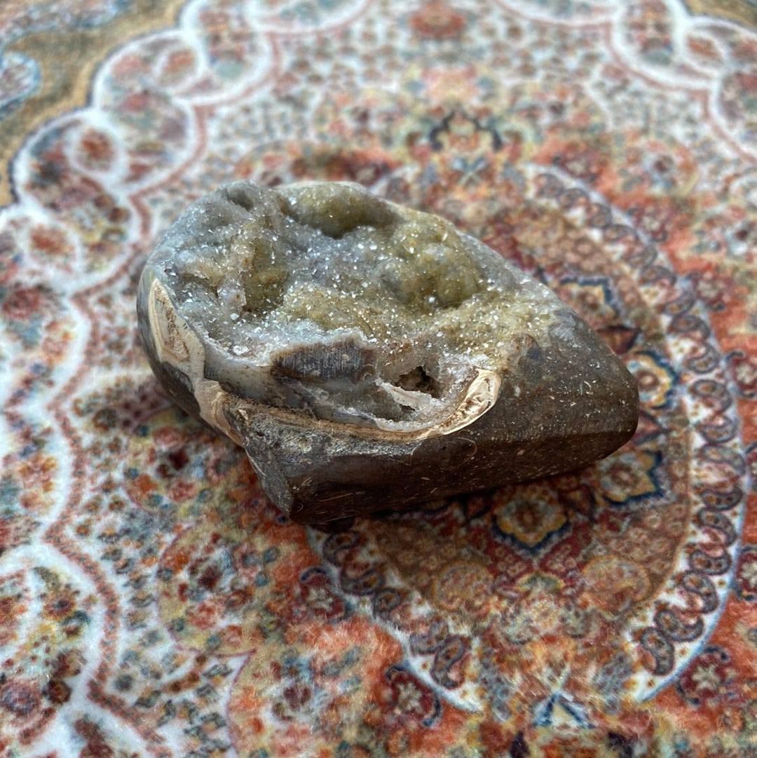 Spiralite Fossilized Gemshell 39 g - Moon Room Shop and Wellness