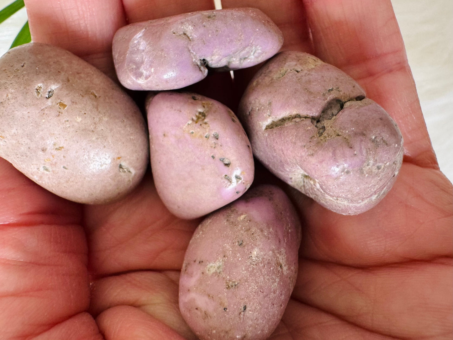 Phosphosiderite Tumbled - Moon Room Shop and Wellness