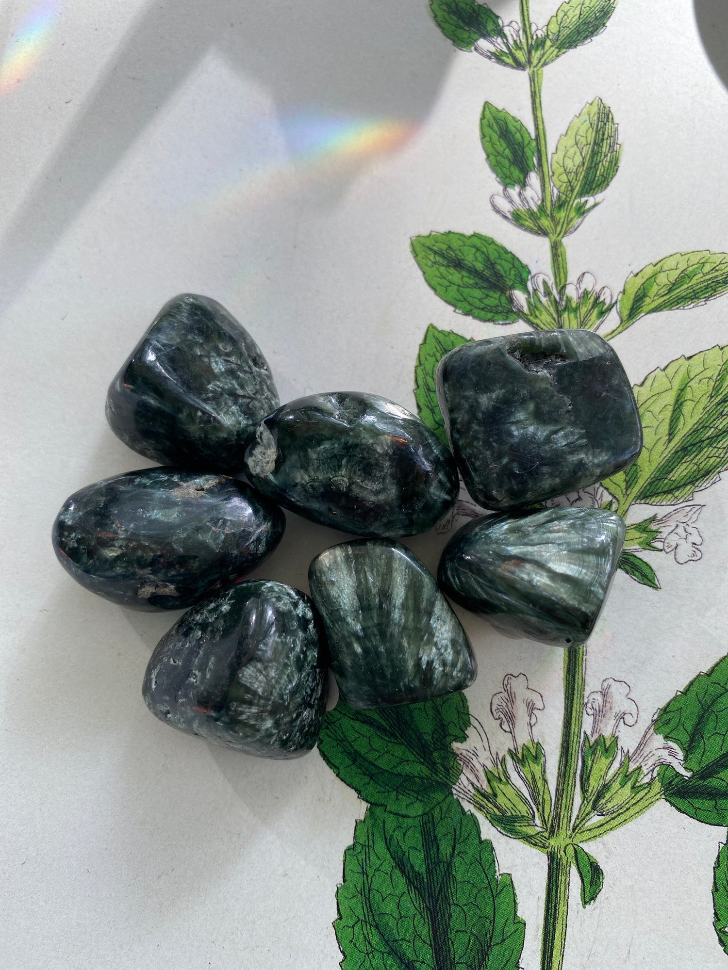 Seraphinite Tumbled- Russia - Moon Room Shop and Wellness