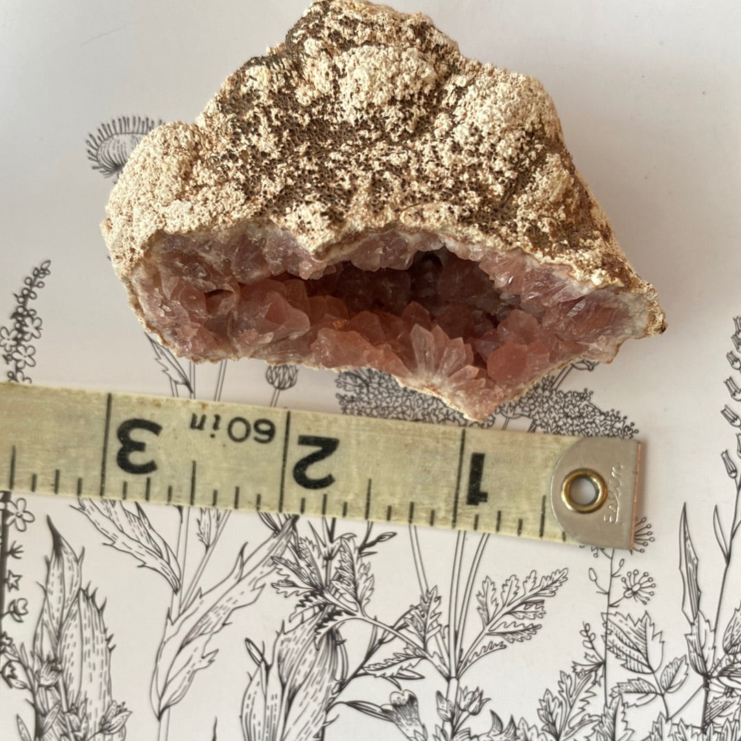 Pink Amethyst Geode - 105 g - Argentina - Moon Room Shop and Wellness