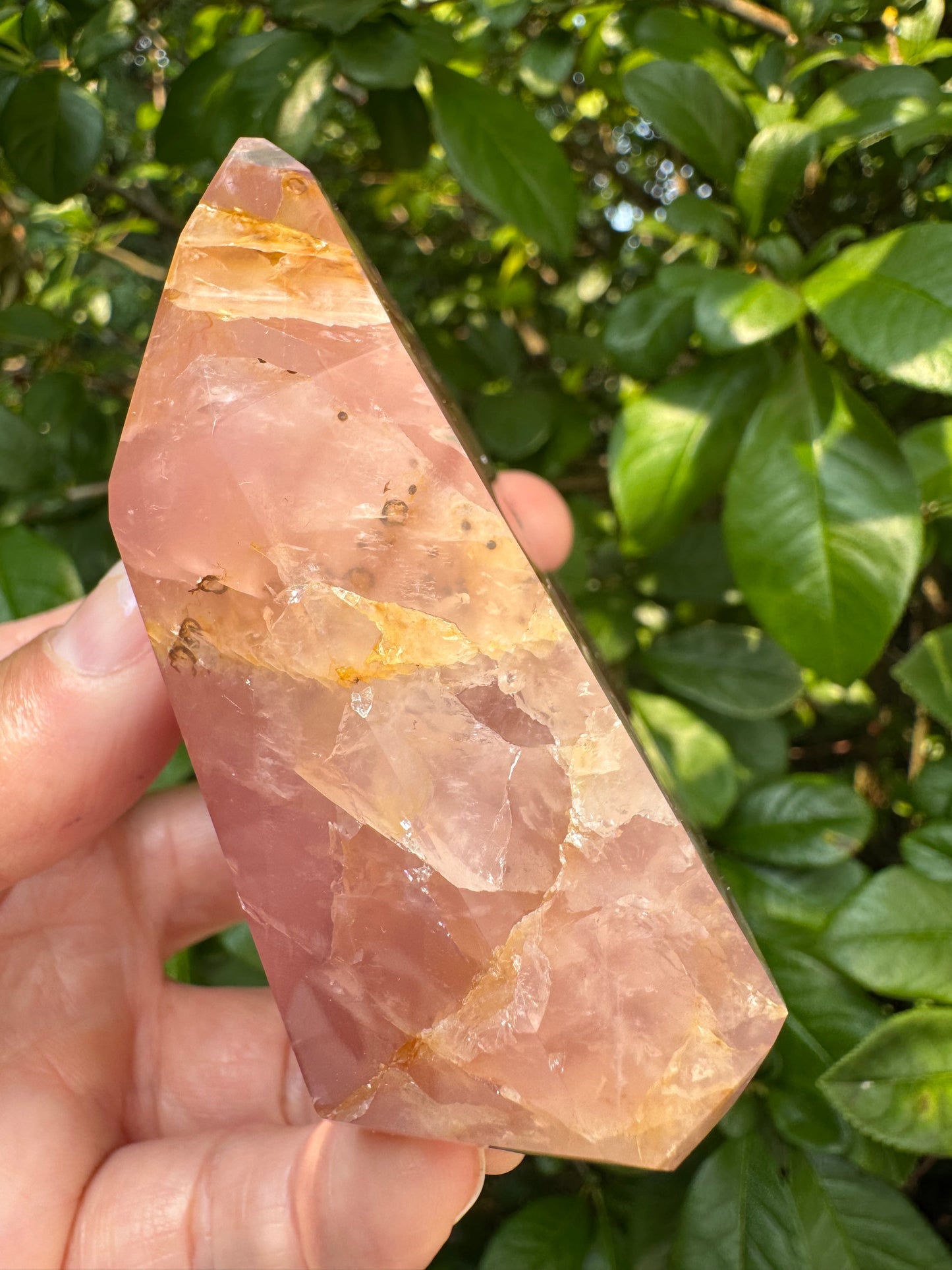 Guava Rose Quartz Tower w Golden Healer - Gorgeous! 242 g - Brazil - Moon Room Shop and Wellness