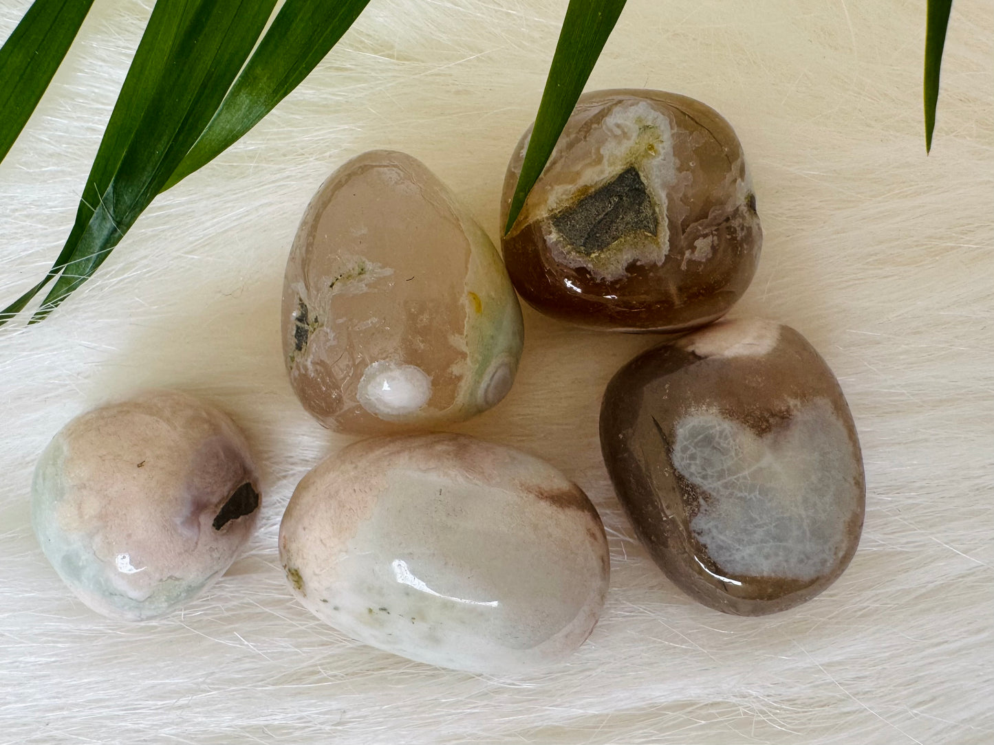 Green Flower Agate Tumbled - Moon Room Shop and Wellness