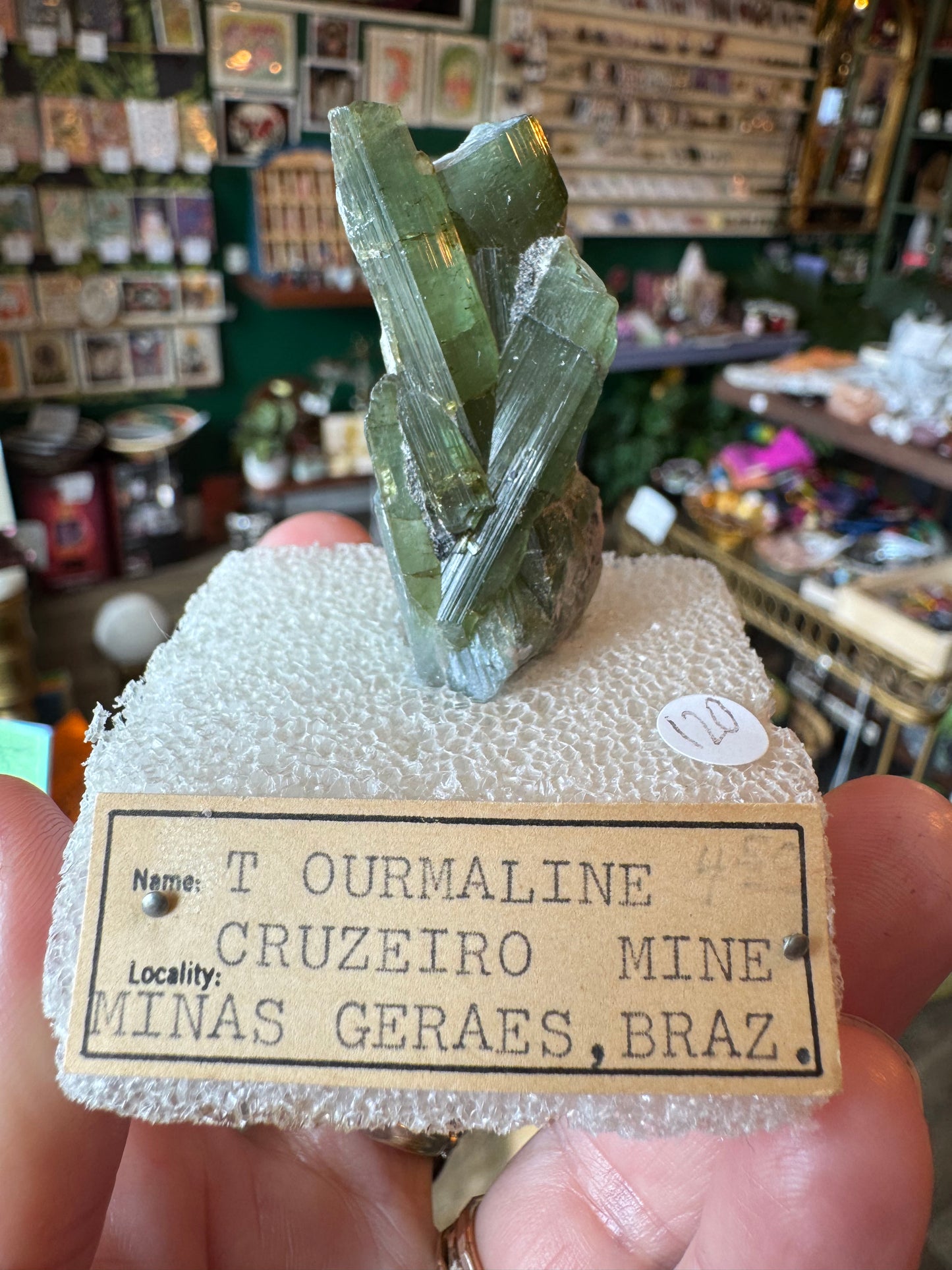 Green Tourmaline Specimen- Vintage Private Collection Piece- Brazil - Moon Room Shop and Wellness